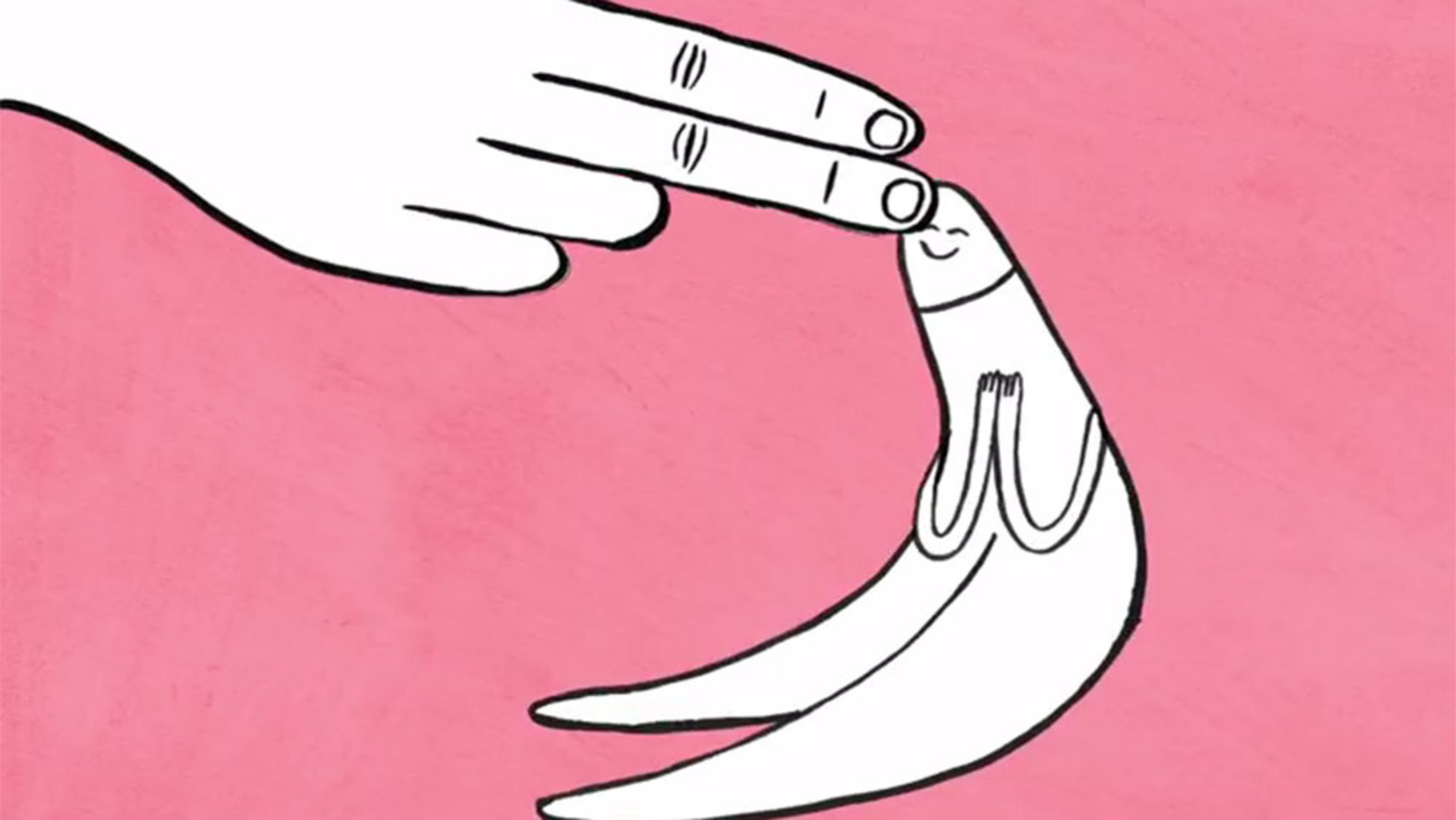 The clitoris is there solely for a woman's pleasure [Credit: Aeon]