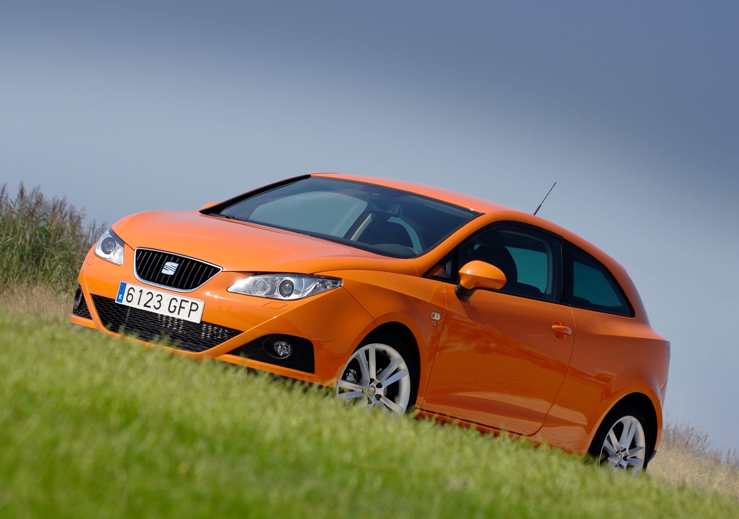 Seat ibiza - 117. miejsce w kategorii aut 5 letnich