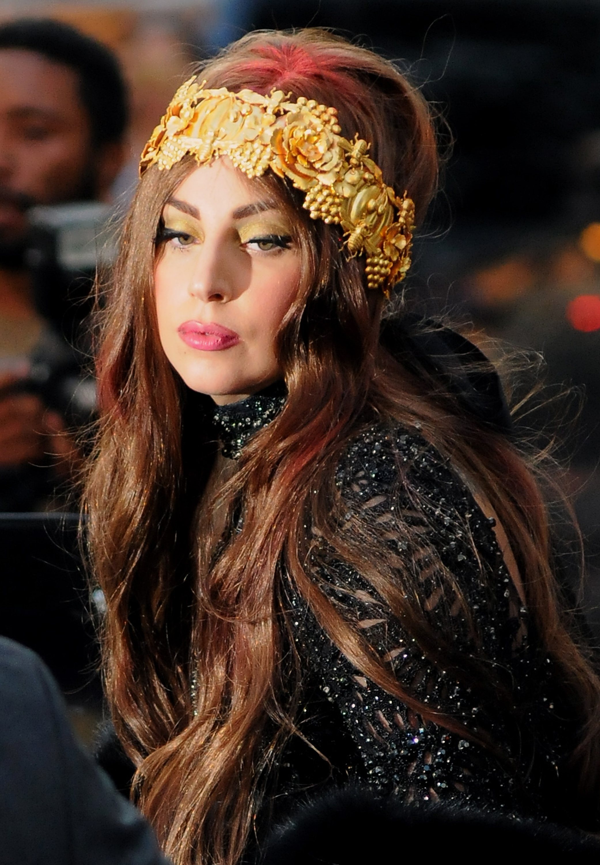 Płyta Lady Gagi nie będzie jednak pierwszą tego typu propozycją w świecie muzyki. Islandzka supergwiazda Bjork w ubiegłym roku opublikowała swój album