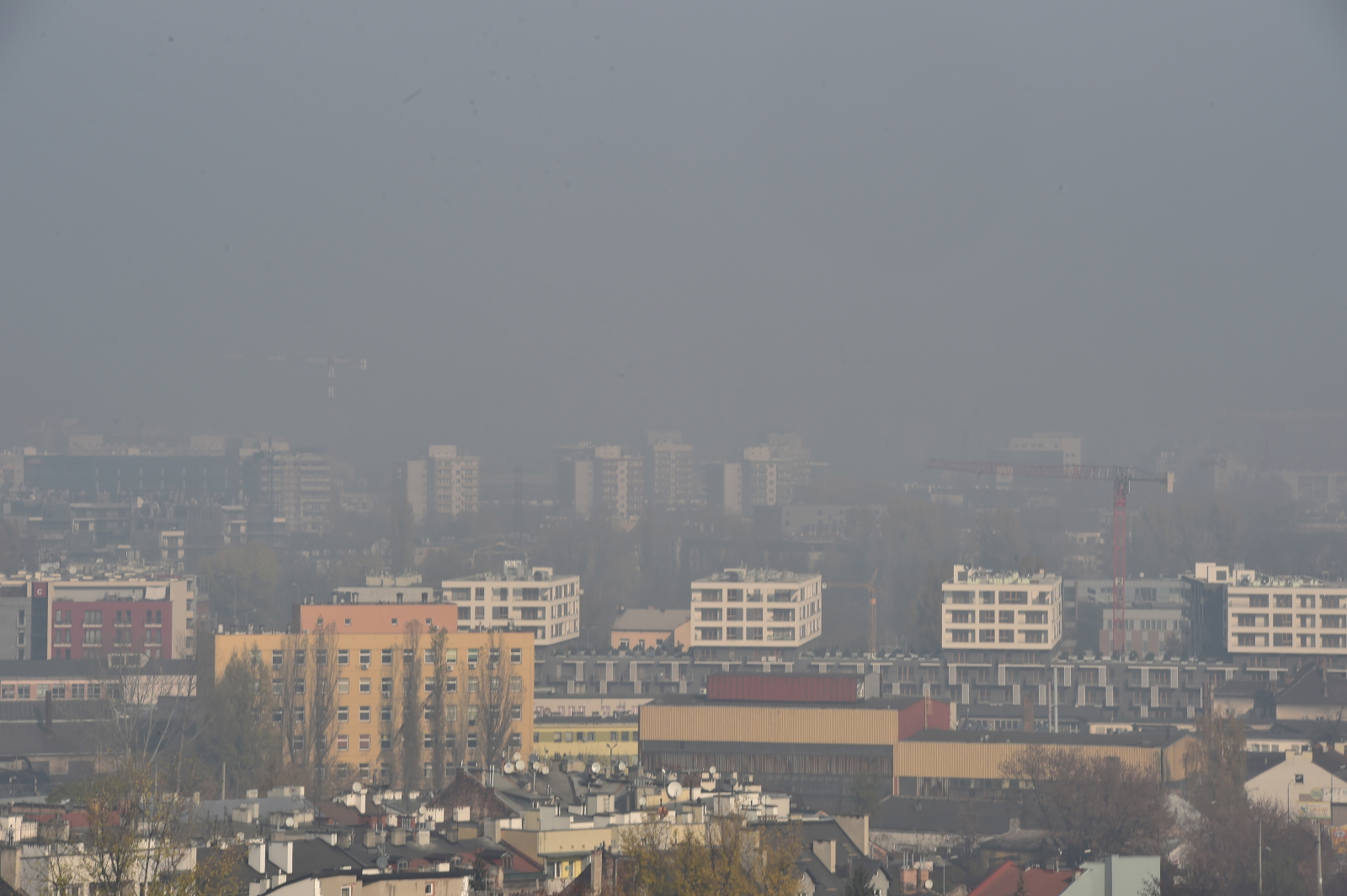 <I>Szkodliwe substancje, pyły i związki chemiczne trafiają do płuc, kumulują się w układzie oddechowym, krążenia i w całym organizmie</I> - mówi <B>doktor Piotr Dąbrowiecki</B> z Wojskowego Instytutu Medycznego. Konsekwencją jest rozwój alergii, astmy czy chorób nowotworowych. <BR><BR> <B>Pulmonolog doktor Małgorzata Czajkowska-Malinowska</B> uważa, że ścieżki rowerowe w pobliżu arterii komunikacyjnych są niefortunnym rozwiązaniem. Rowerzyści, którym wydaję się, że prowadzą zdrowy tryb życia, tak naprawdę wdychają szkodliwe substancje. <BR><BR> Źródłem zanieczyszczenia powietrza są przede wszystkim przemysł i komunikacja samochodowa i domowe piece oraz kotłownie.