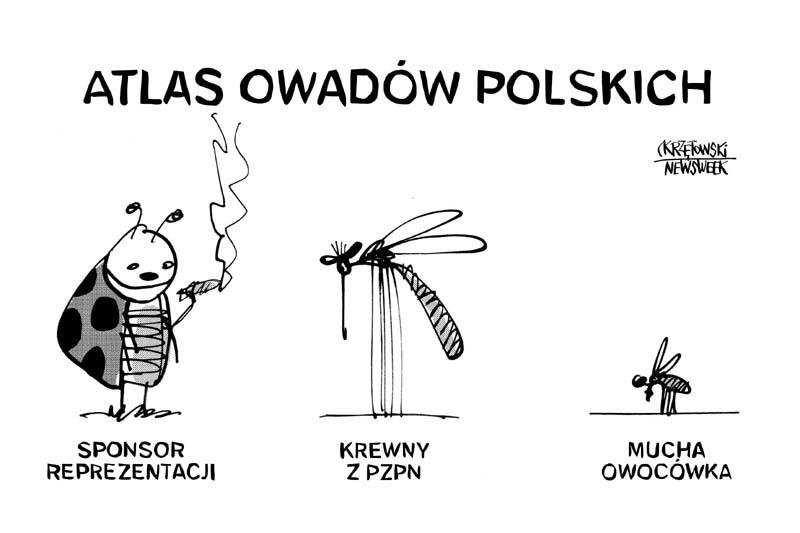 Atlas owadow polskich euro 2012 mucha biedronka pzpn krzętowski