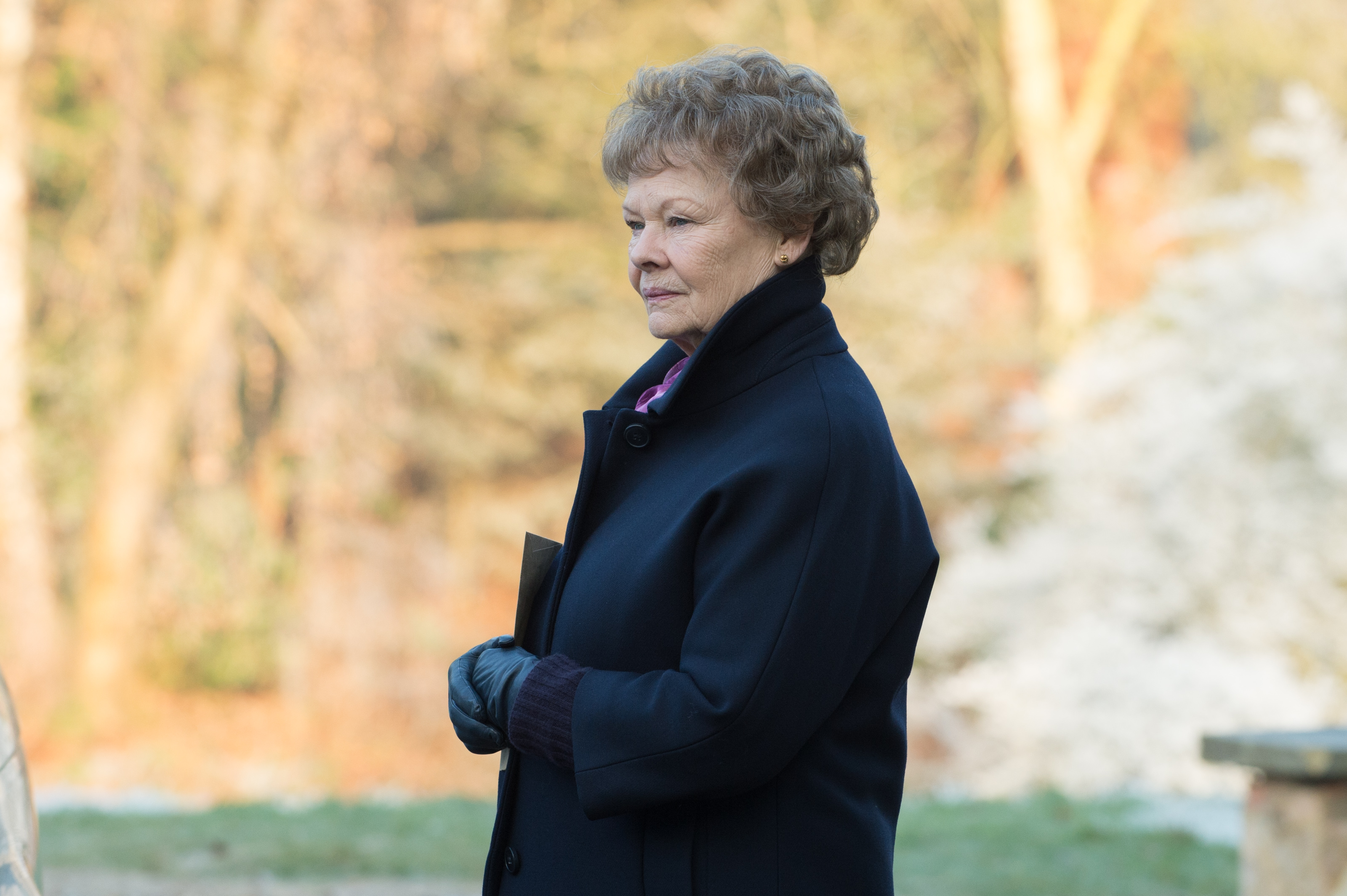 Judi Dench w filmie
