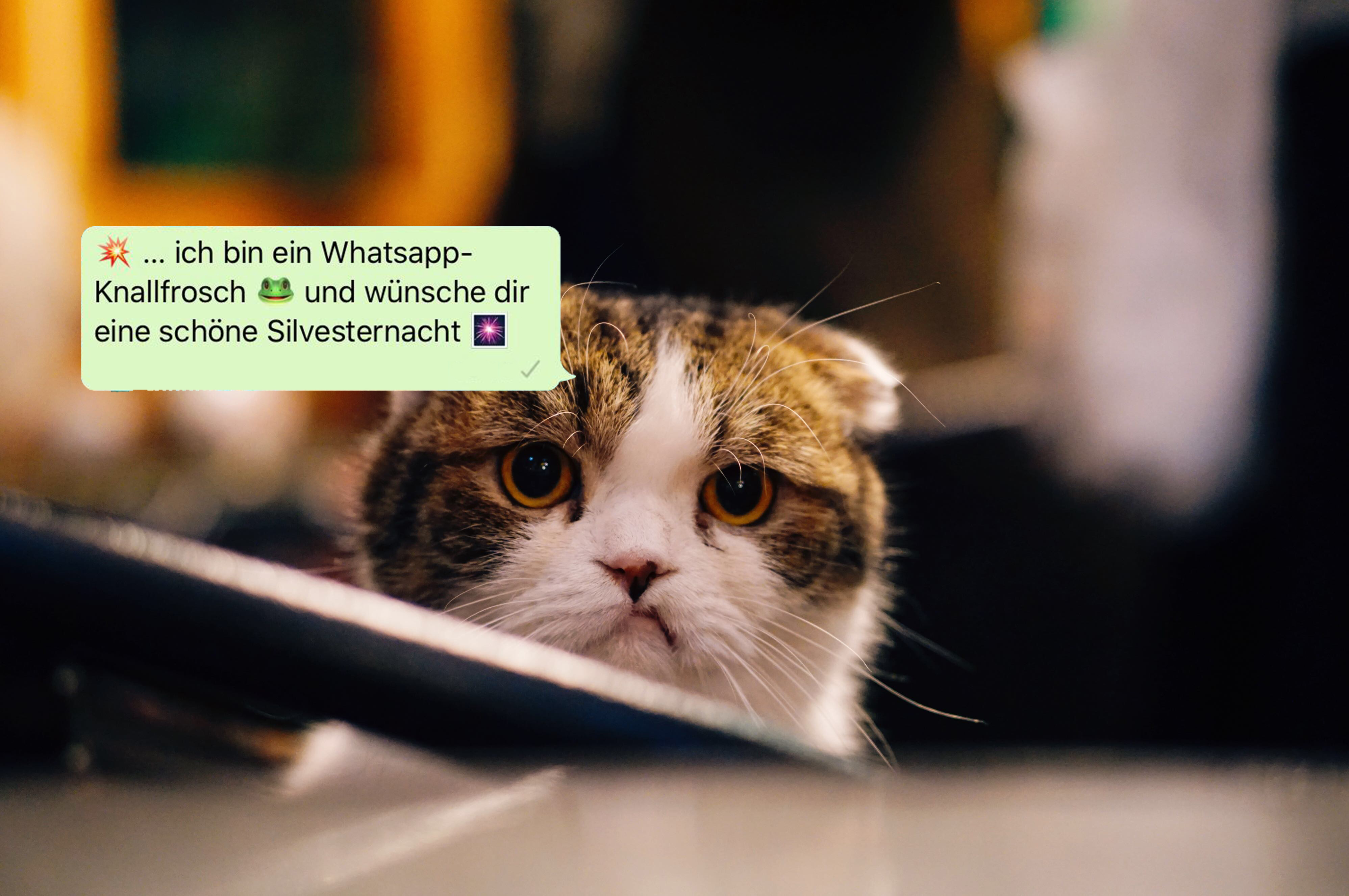 Download Nachdenklich spruch ausnutzen Free HD