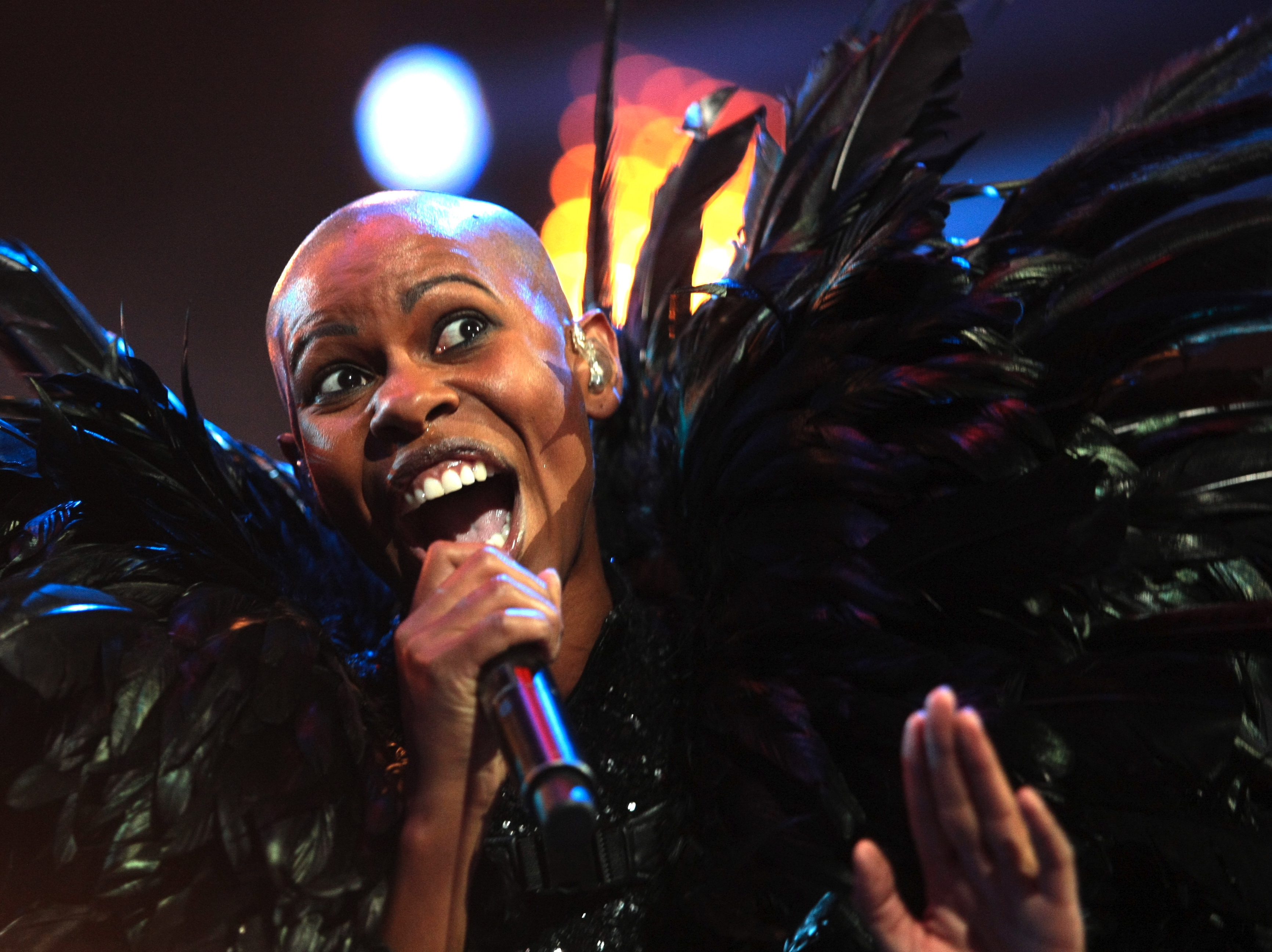 Skunk Anansie