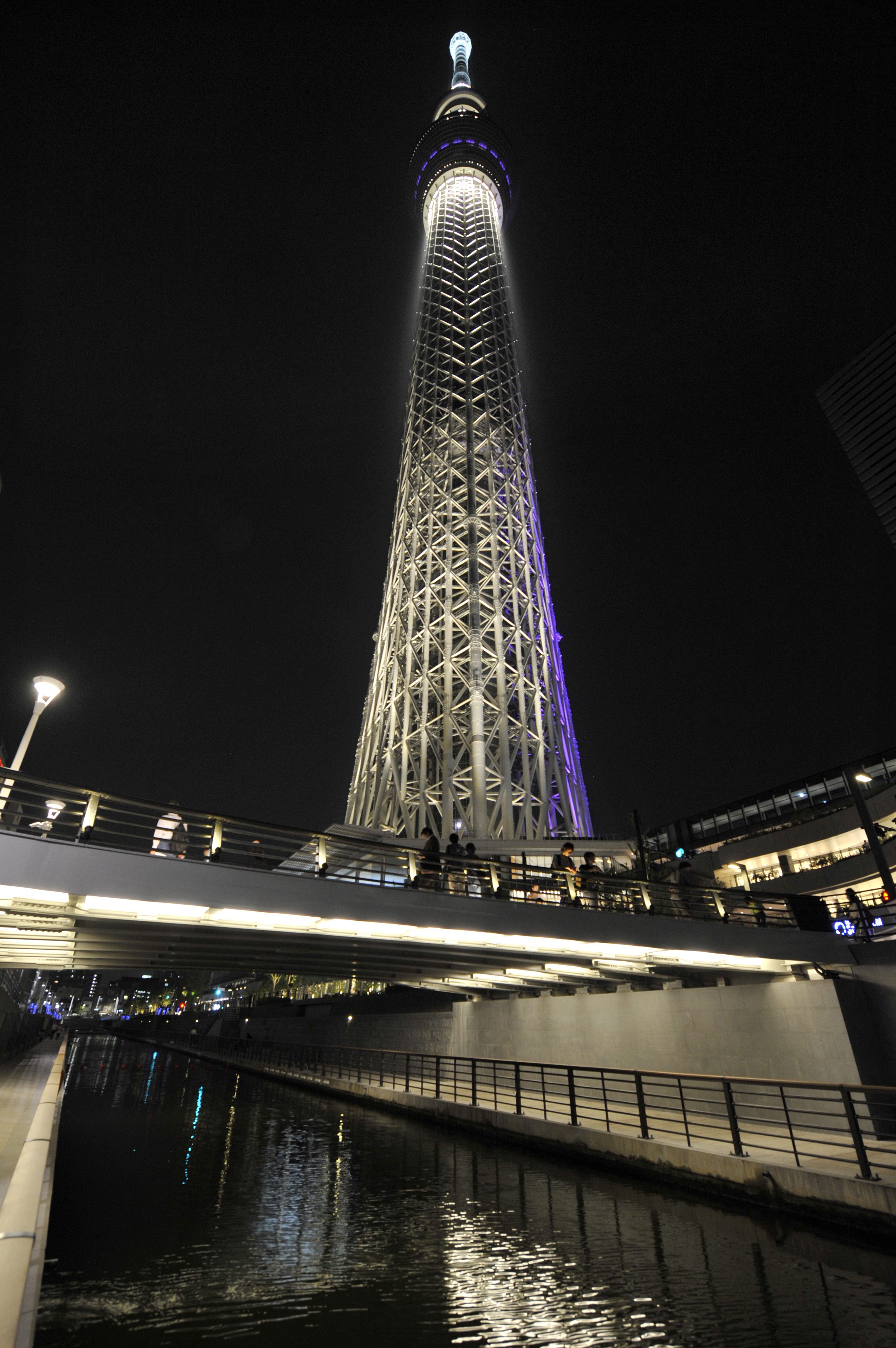 Japońscy inżynierowie wykorzystali przy budowie Tokyo Skytree najnowocześniejsze technologie, aby zabezpieczyć wieżę przed skutkami trzęsień ziemi. Wykorzystano także doświadczenia stosowane w przeszłości przy wznoszeniu pagod. Wielokondygnacyjne wieże w buddyjskich klasztorach wykazują wyjątkową odporność na wstrząsy i dotychczas żadna z nich nie zawaliła się podczas trzęsienia ziemi