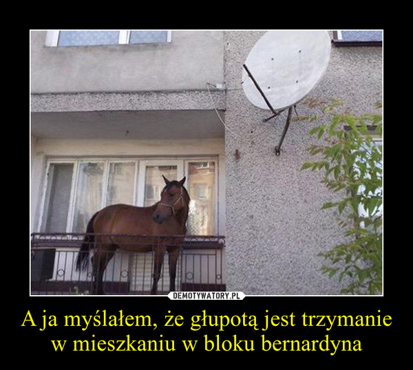 mem