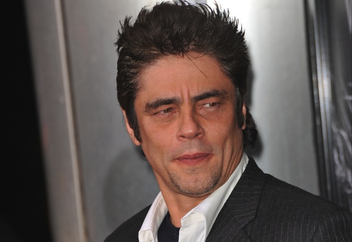 Benicio Del Toro