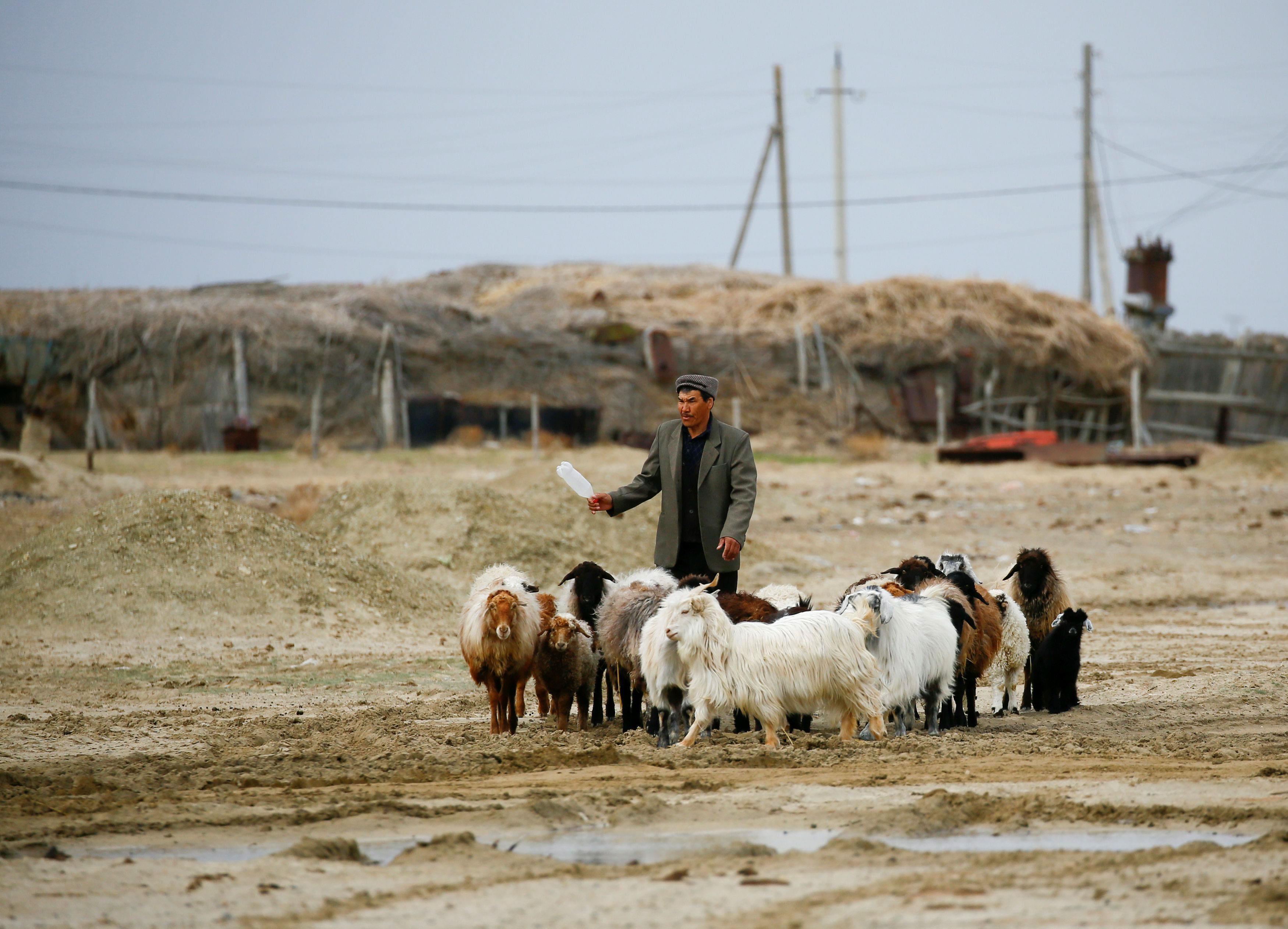 The Wider Image: Aral Sea: big fish is back in small pond