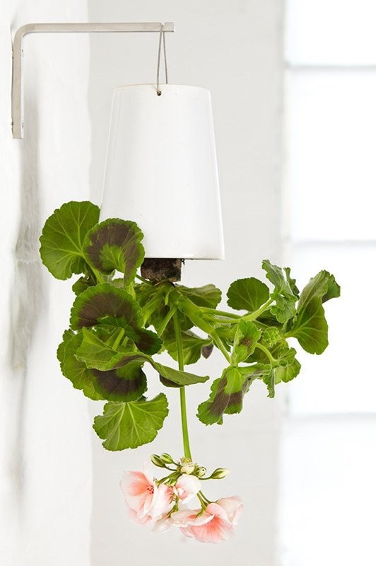Sky Planter