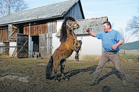 Povratnik: Nikola Hinić kaže da je "budala i bena uvek bilo i biće"