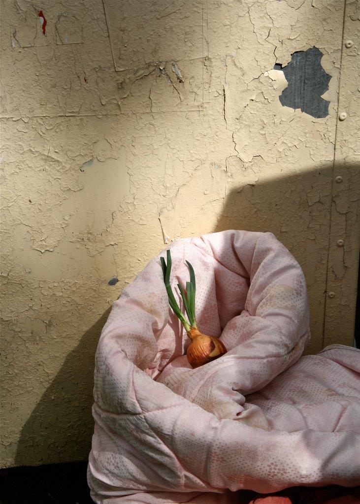 Wystawa Fotograficzna