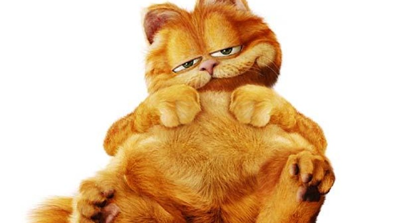 Garfield: Najsłynniejszy kot świata - Film