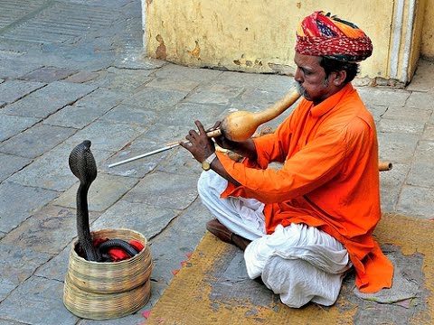 A snake charmer of India
