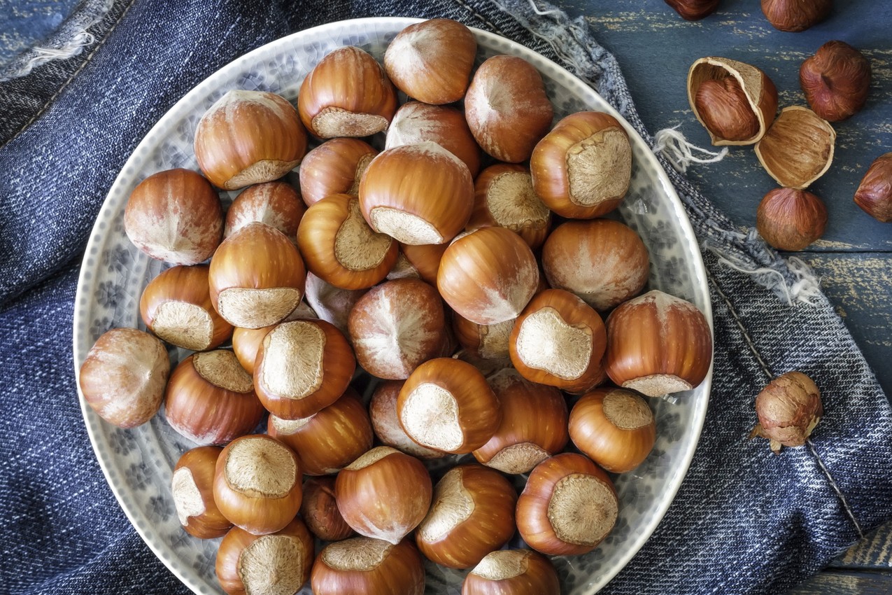 Trzeba Zapakować 630 Kg Orzechów Laskowych Domowe mleko orzechowe - Vumag