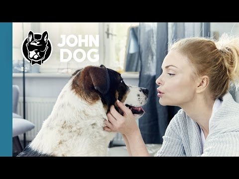 Adopcje John Dog i Schronisko w Korabiewicach