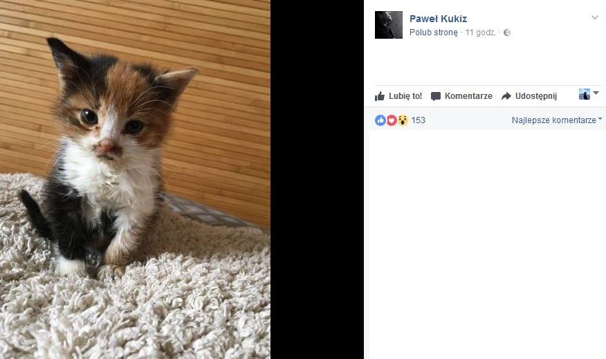 Jak wam się podoba nowy lokator w domu Pawła Kukiza?