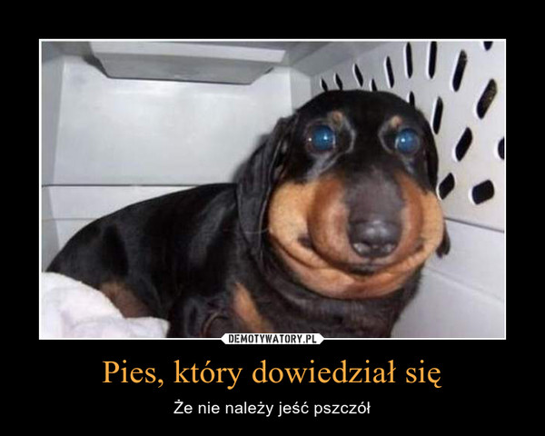 mem