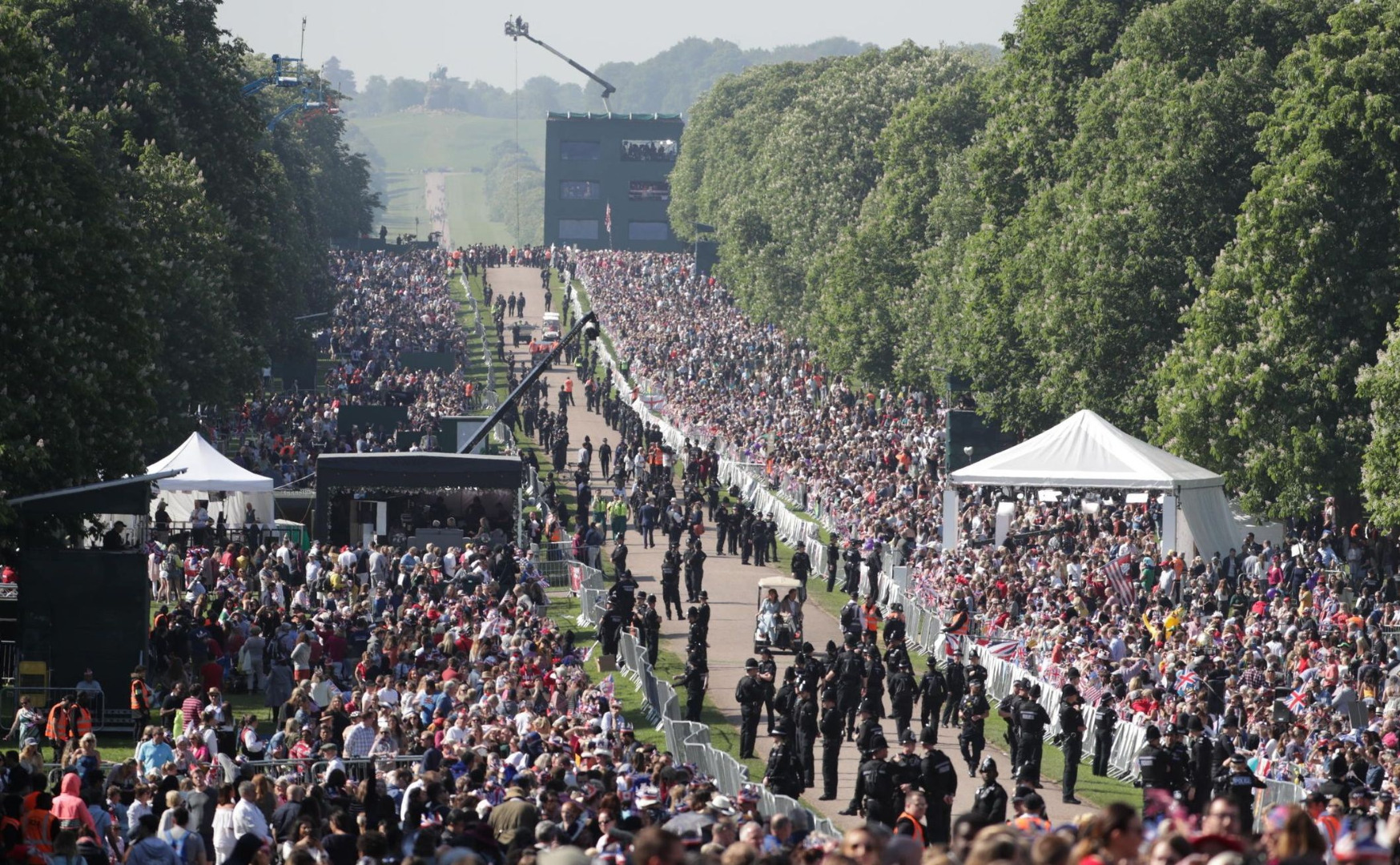 Windsor