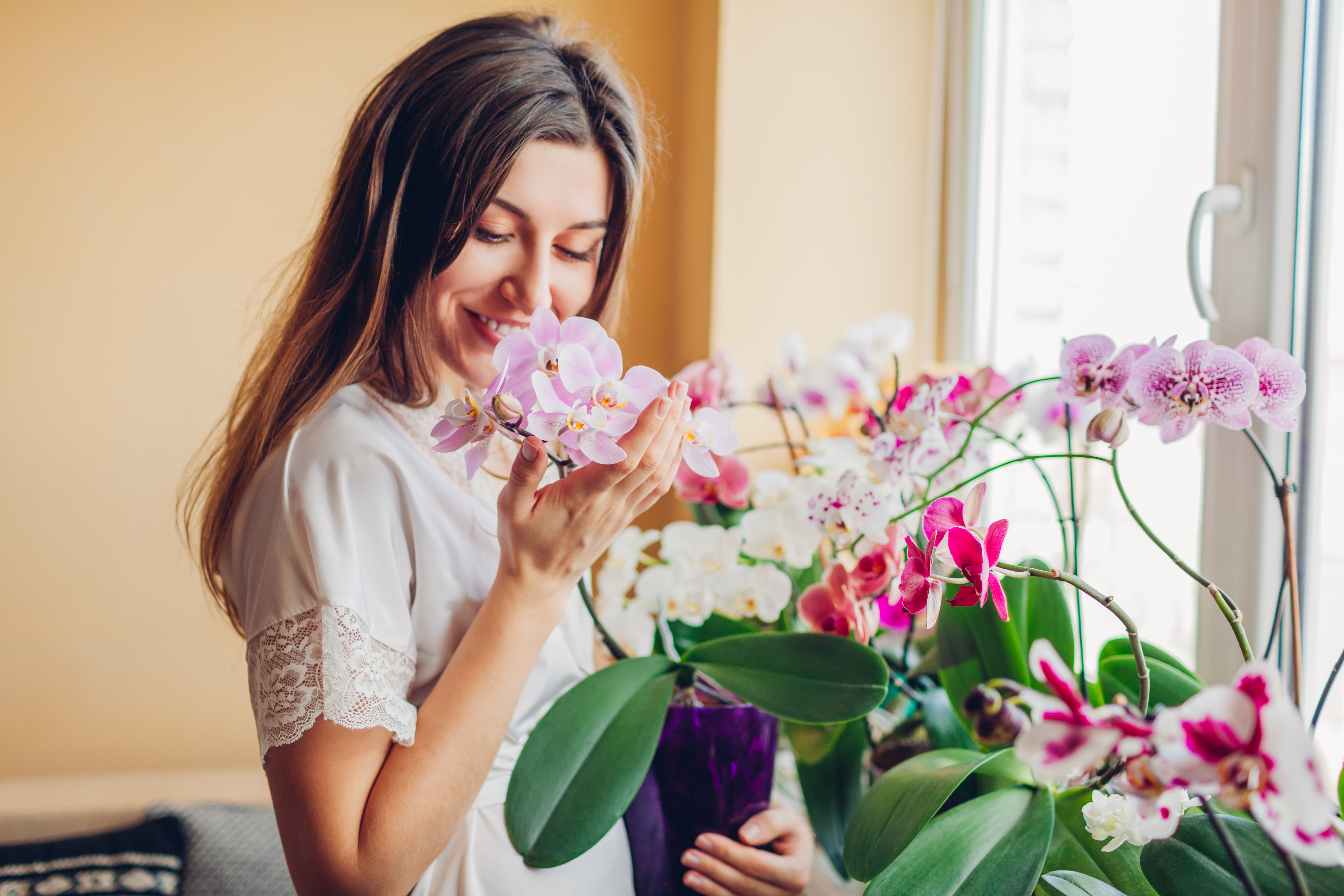 Szerencsehozó virágok a lakásban - Blikk