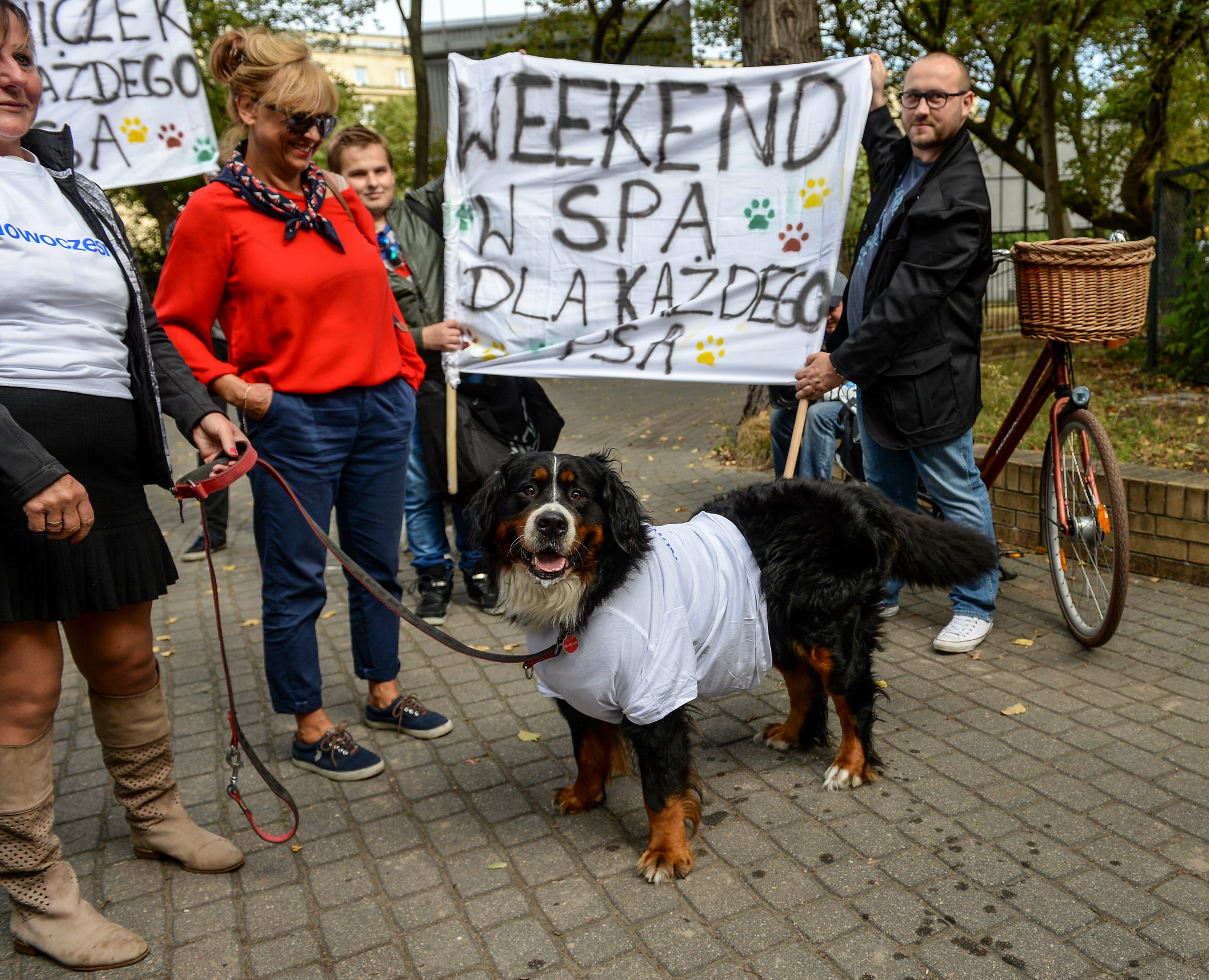 Uczestnicy happeningu mieli transparentu, na których były hasła dotyczące równości wszystkich psów w Polsce.