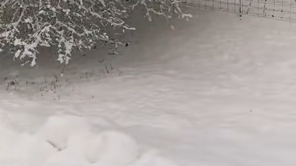 Már térdig ér a hó Kaposvár környékén – videó