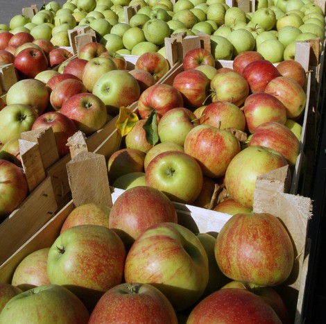 Mladi svingeri mladi svingeri