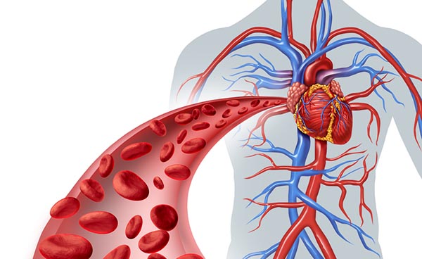 A prostatitis antibiotikumok címének kezelése Szteroidok prosztatitis