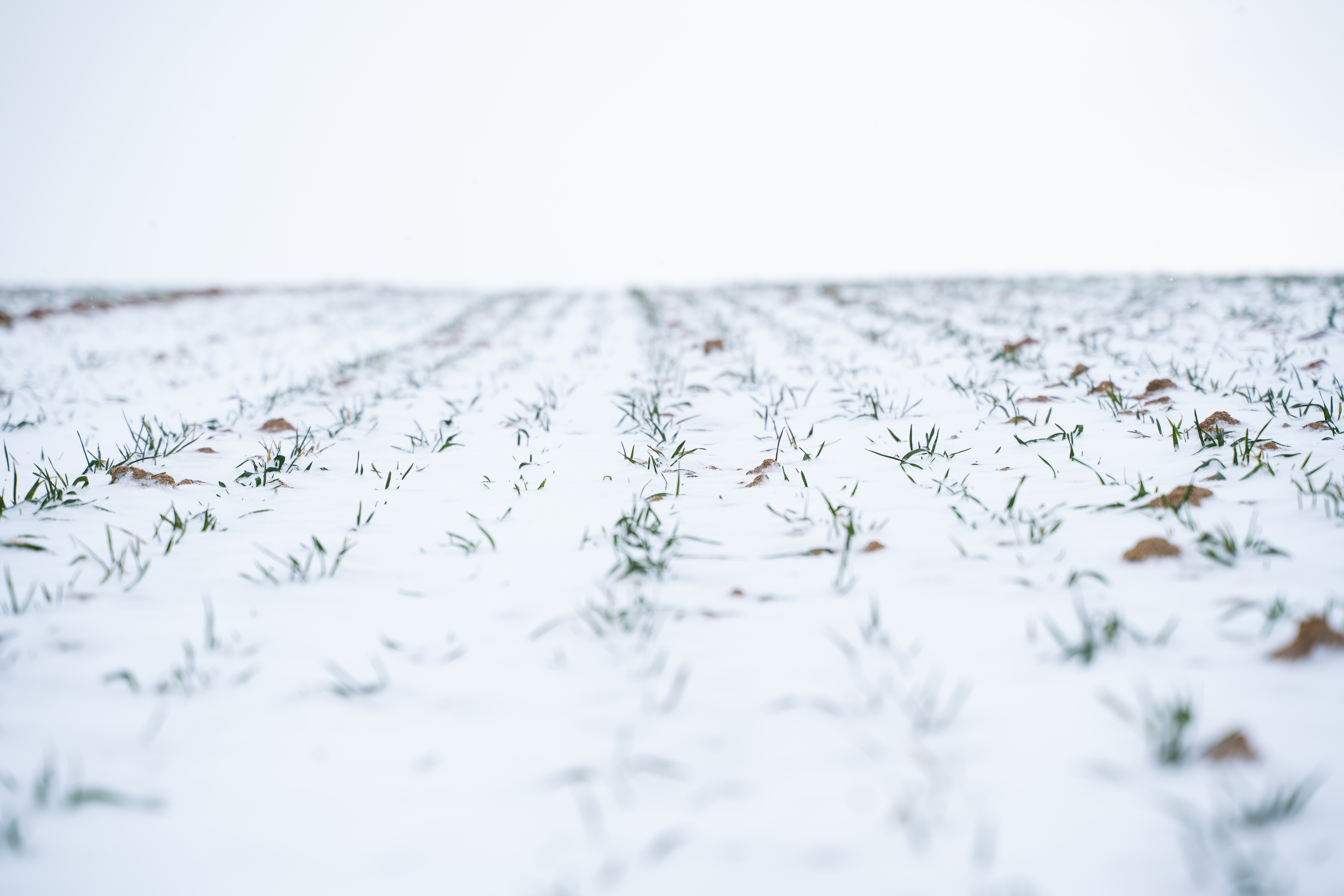 Didergős lesz a kedd is: havazás, ónos eső és fagyos szél várható