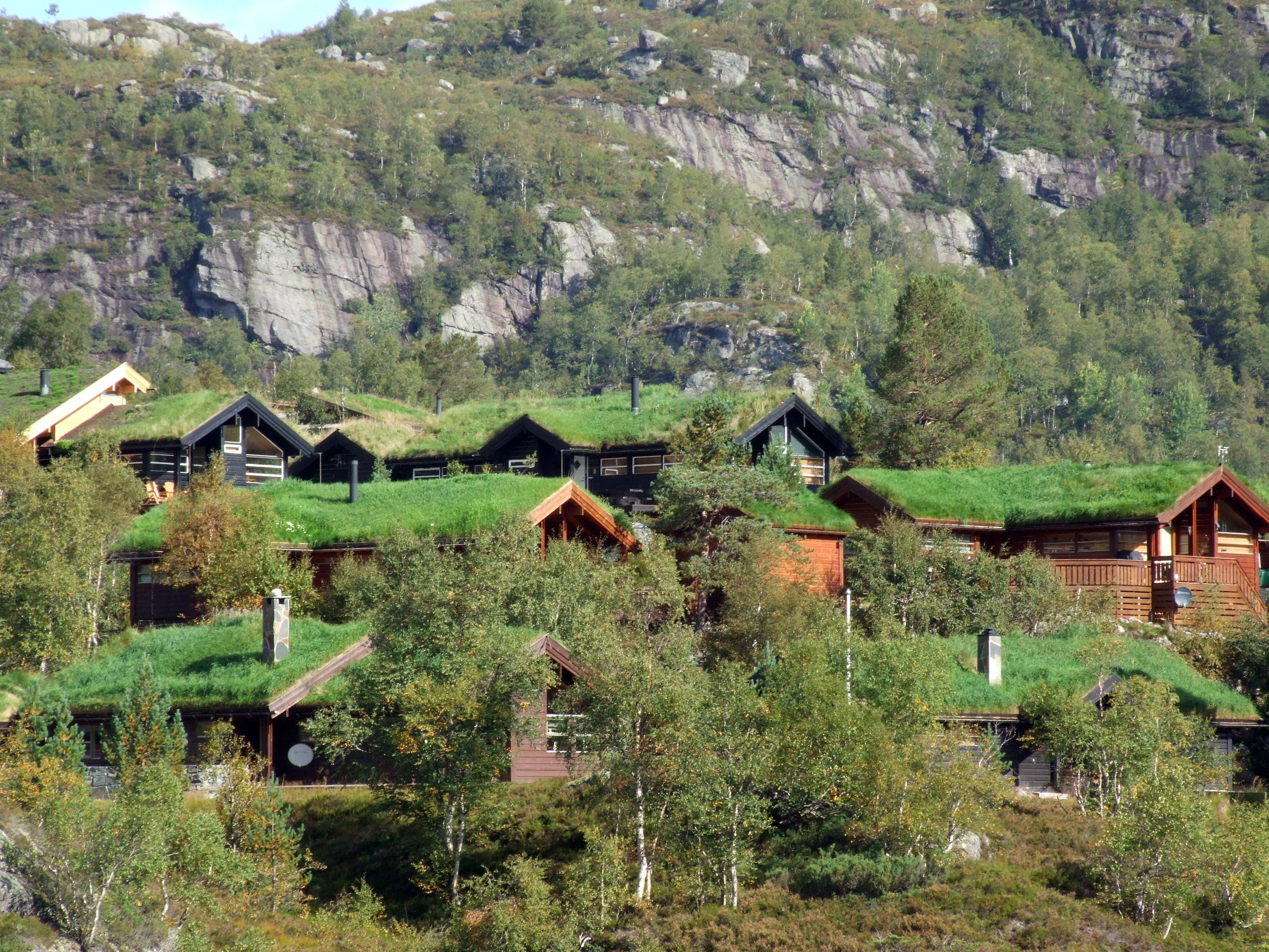Norwegia