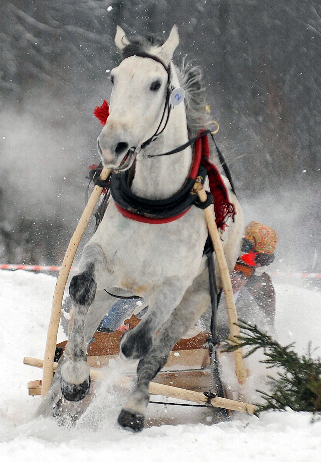 Parada Gazdowska