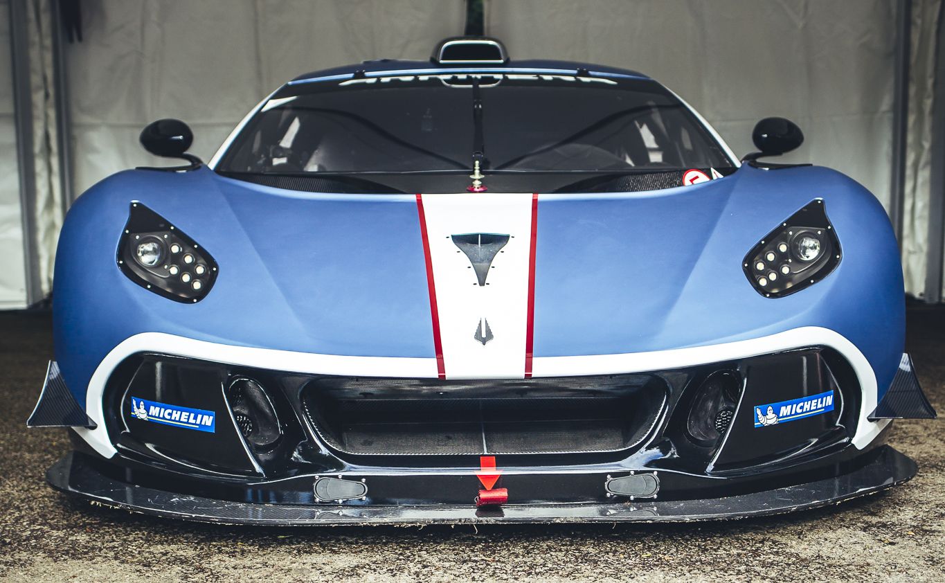 Arrinera hussarya GT