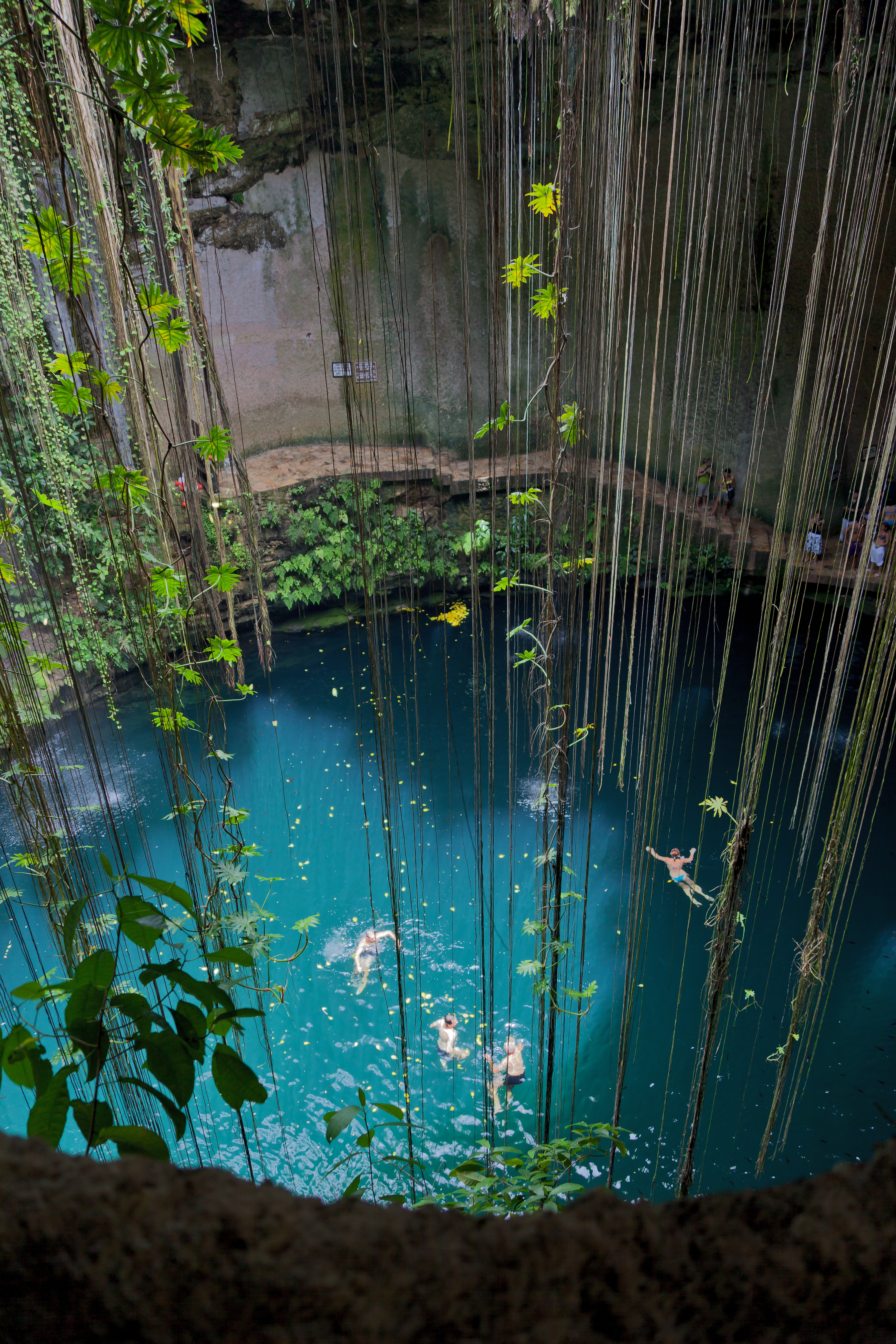 Miejsce, które urzeknie każdego. Znajdująca się nieopodal Chichen Itza jaskinia z podziemnym jeziorem. To Ik-Kil Cenote