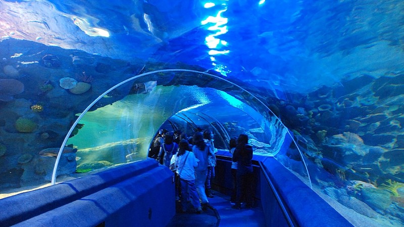 Wrocław: zoo chce oceanarium - Podróże