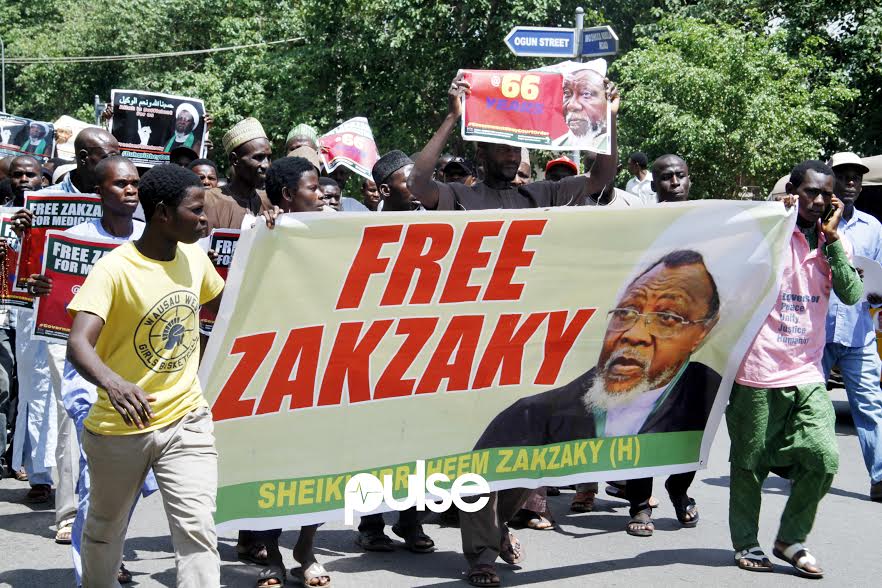 Members of Islamic Movement of Nigeria protesting in Abuja to demand the release of their leader, Sheikh Ibrahim Elzakzaky and his wife Zeenat. (Pulse)