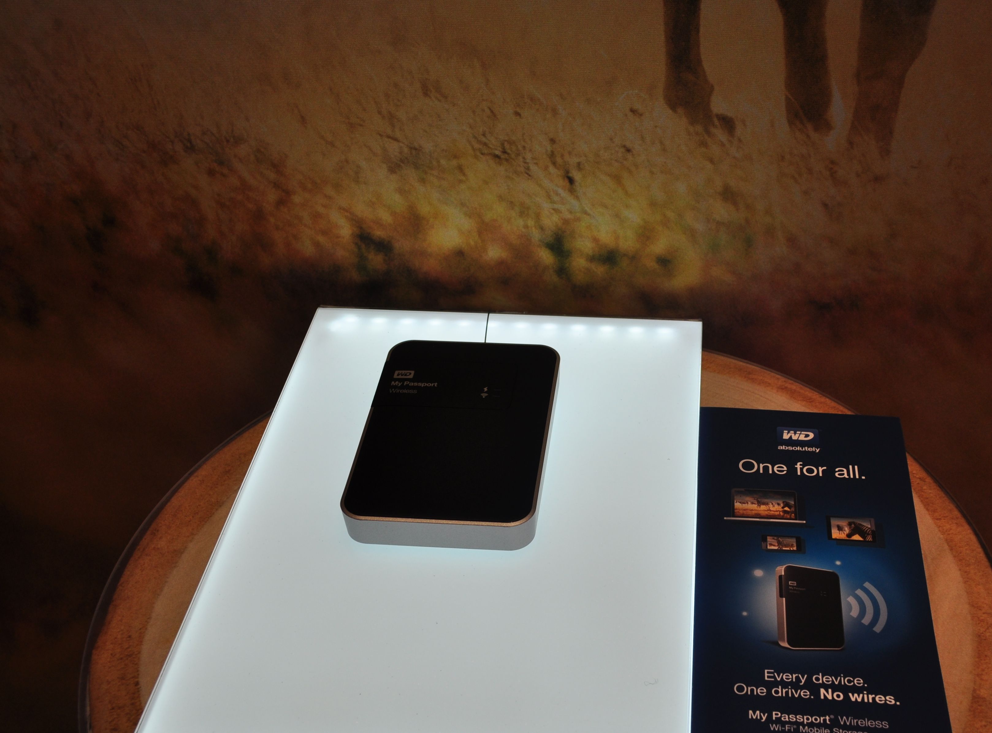 Portable Wifi WD