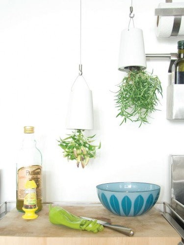 Sky Planter