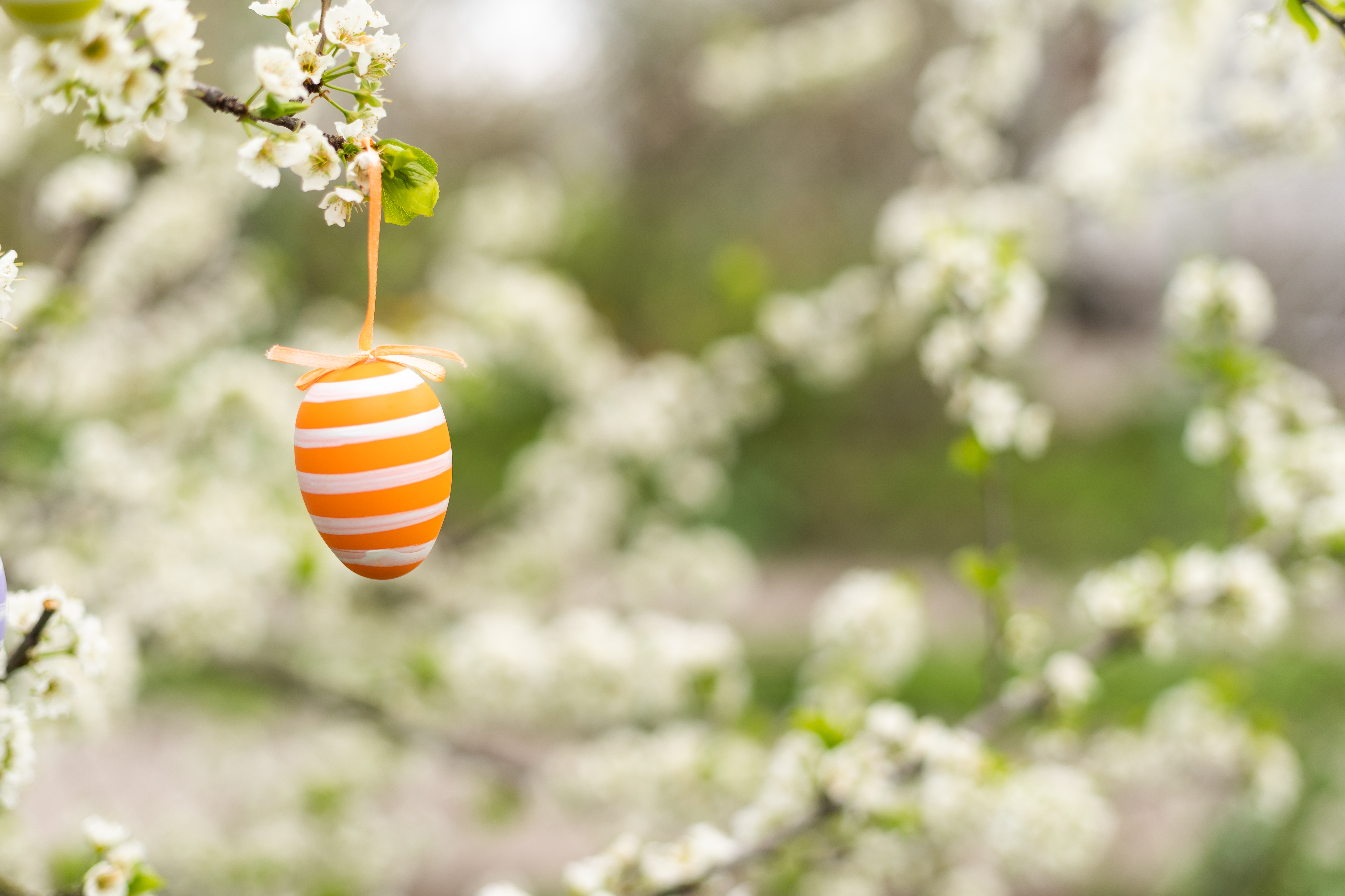 Közel 20 fok is lehet! Mutatjuk, milyen időre számíthatunk húsvét hétfőn