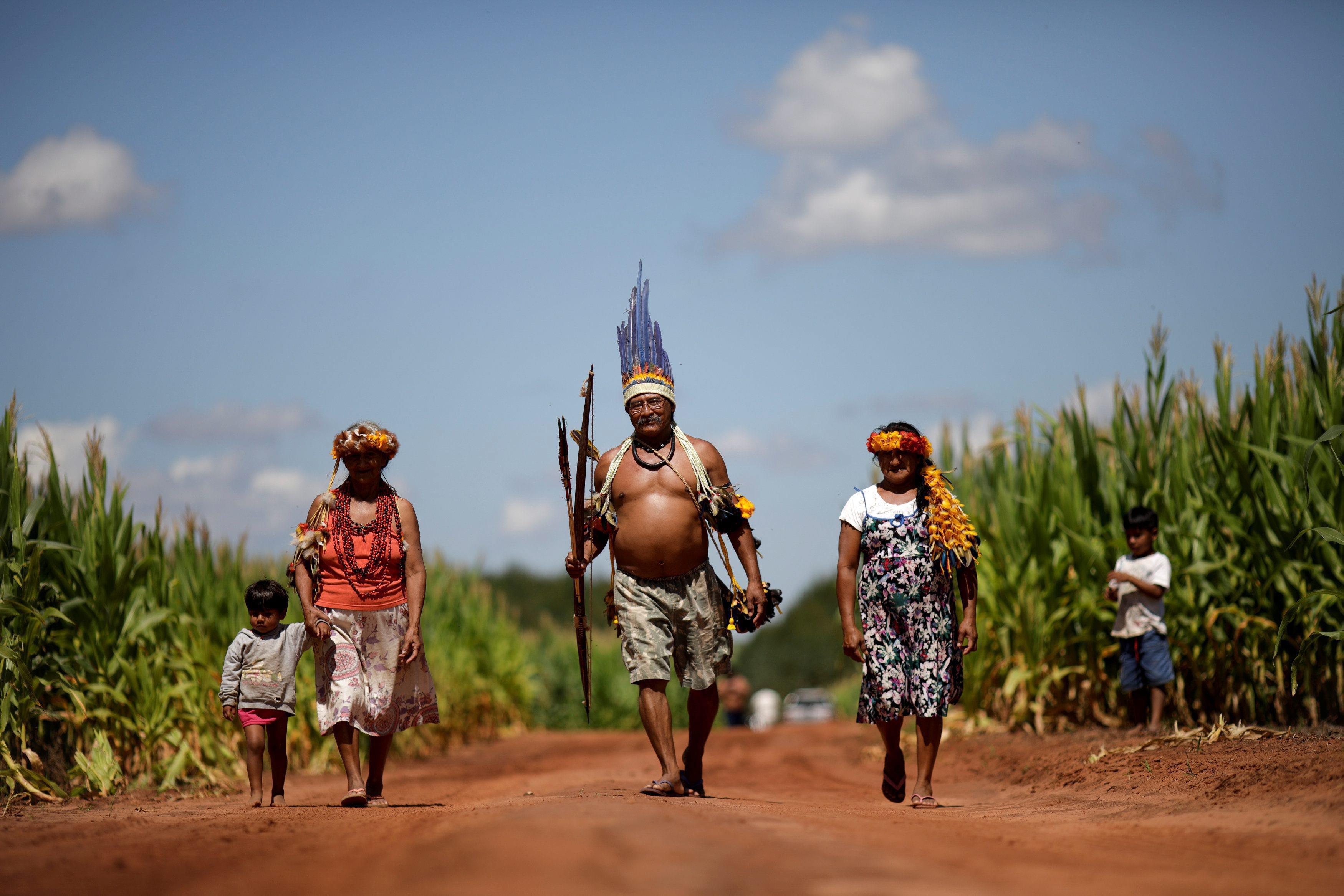 The Wider Image: Brazilian Indians fined for planting GMO soy crops