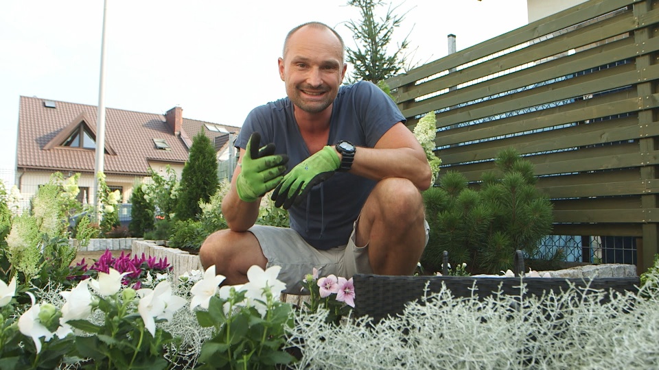 <b>NOWOŚCI</b> Dominik Strzelec jest pasjonatem wszelkiej roślinności. Potrafi odmienić
nudną, zaniedbaną czy niewymiarową działkę w funkcjonalny, magiczny ogród. Co więcej,
wystarczą mu na to tylko trzy dni! „Odlotowy ogród