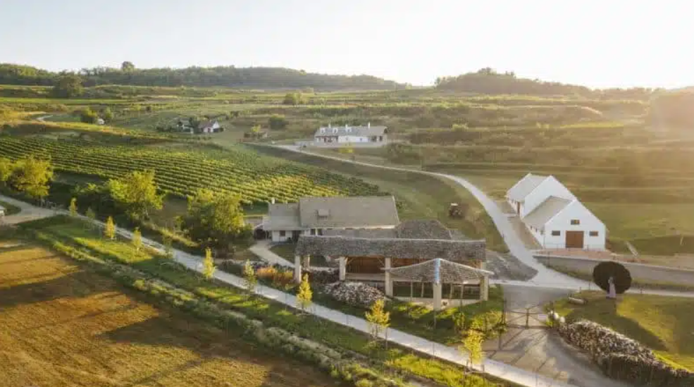 Íme, egy testesebb „téli” bor Bodriéktól