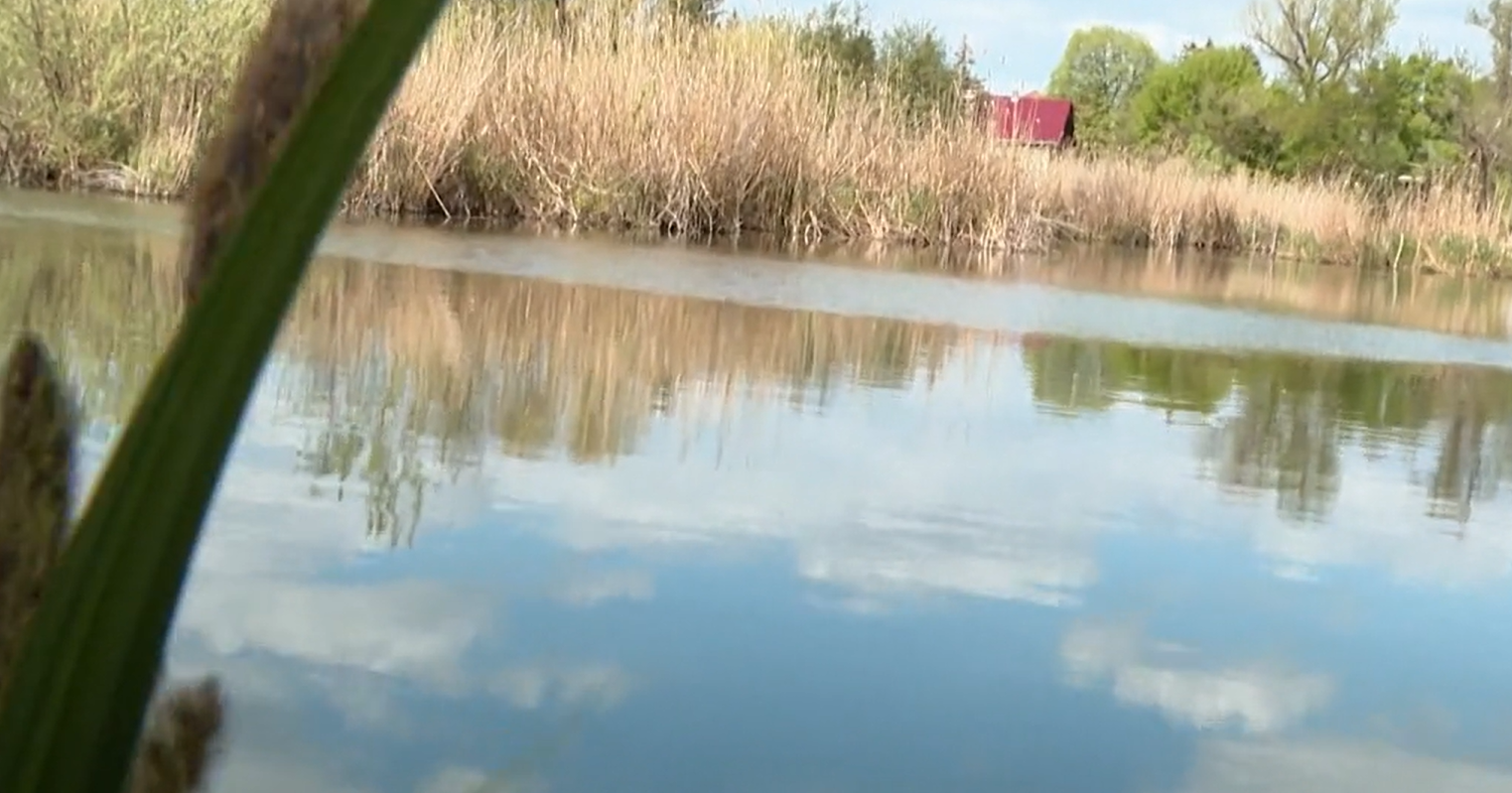 Veresegyházi tragédia: másfél napig lebeghetett az idős nő holtteste az Öreg-tóban – videó