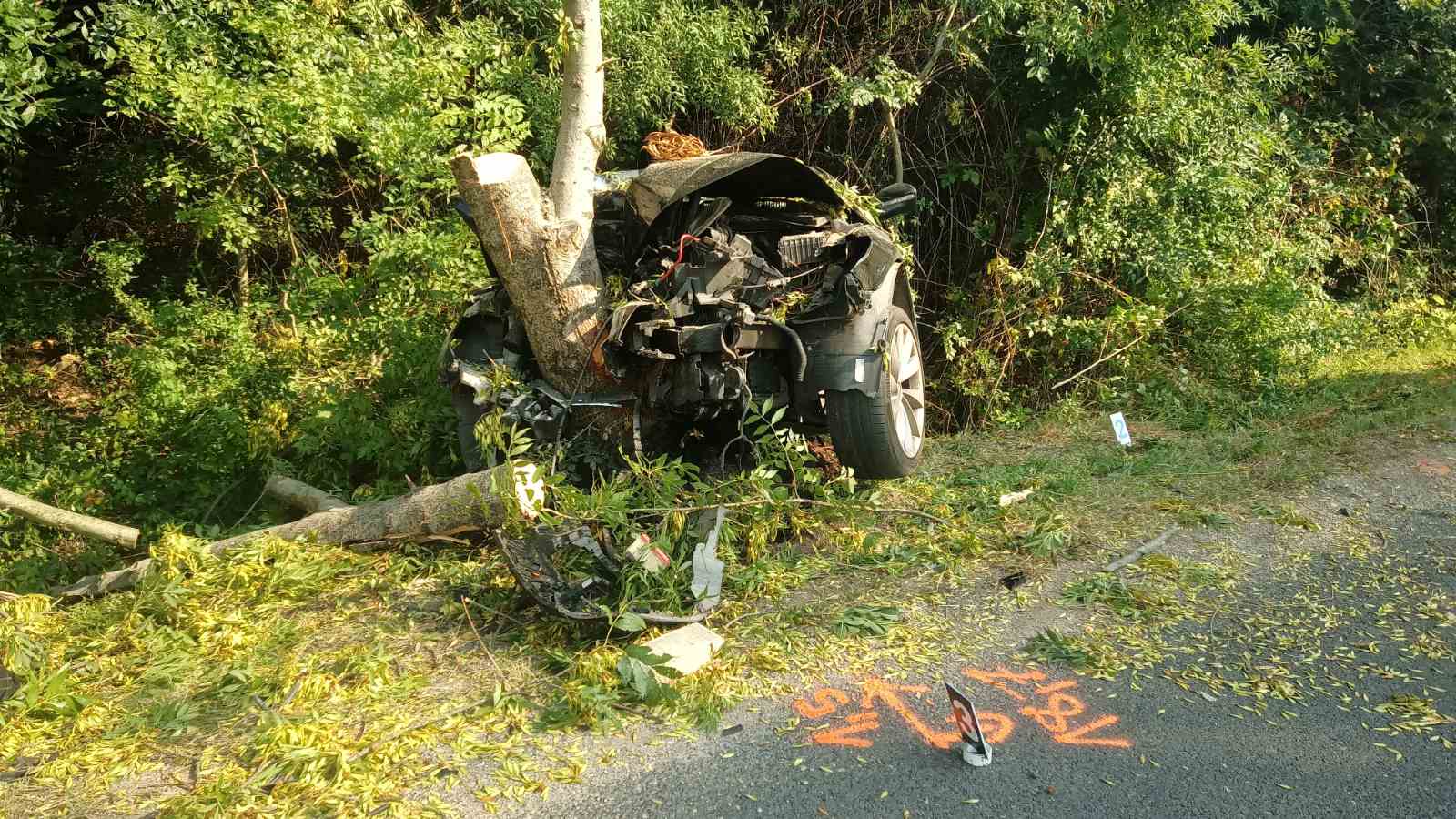 Fának csapódott egy autó Gárdonyban - fotók a tragédia helyszínéről