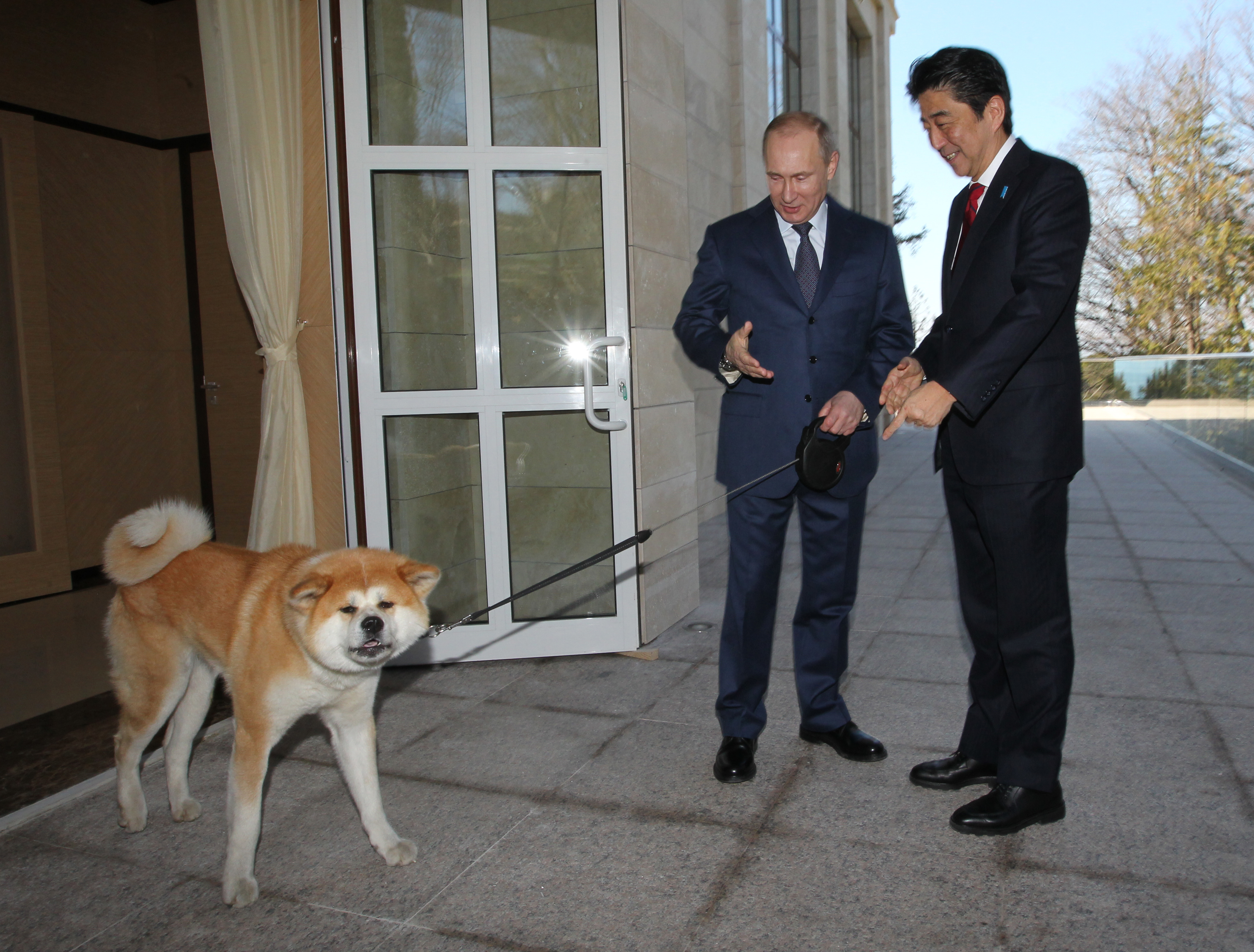 Władimir Putin ze swoim psem Yume wita premiera Japonii Shinzō Abe w letniej rezydencji Bocharov Ruchey w Soczi, luty 2014 r.