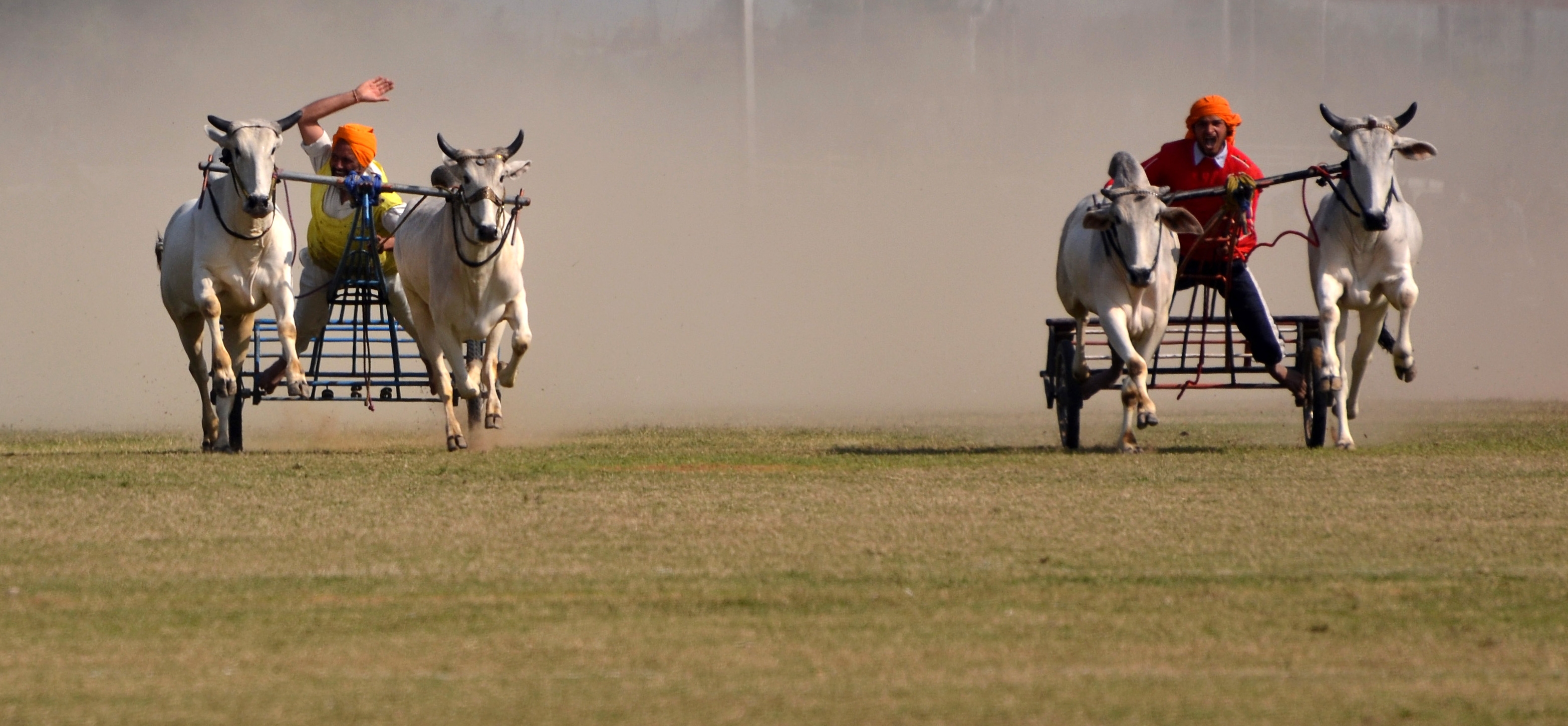Kila Raipur, stan Pendżab, 2 lutego 2013 roku