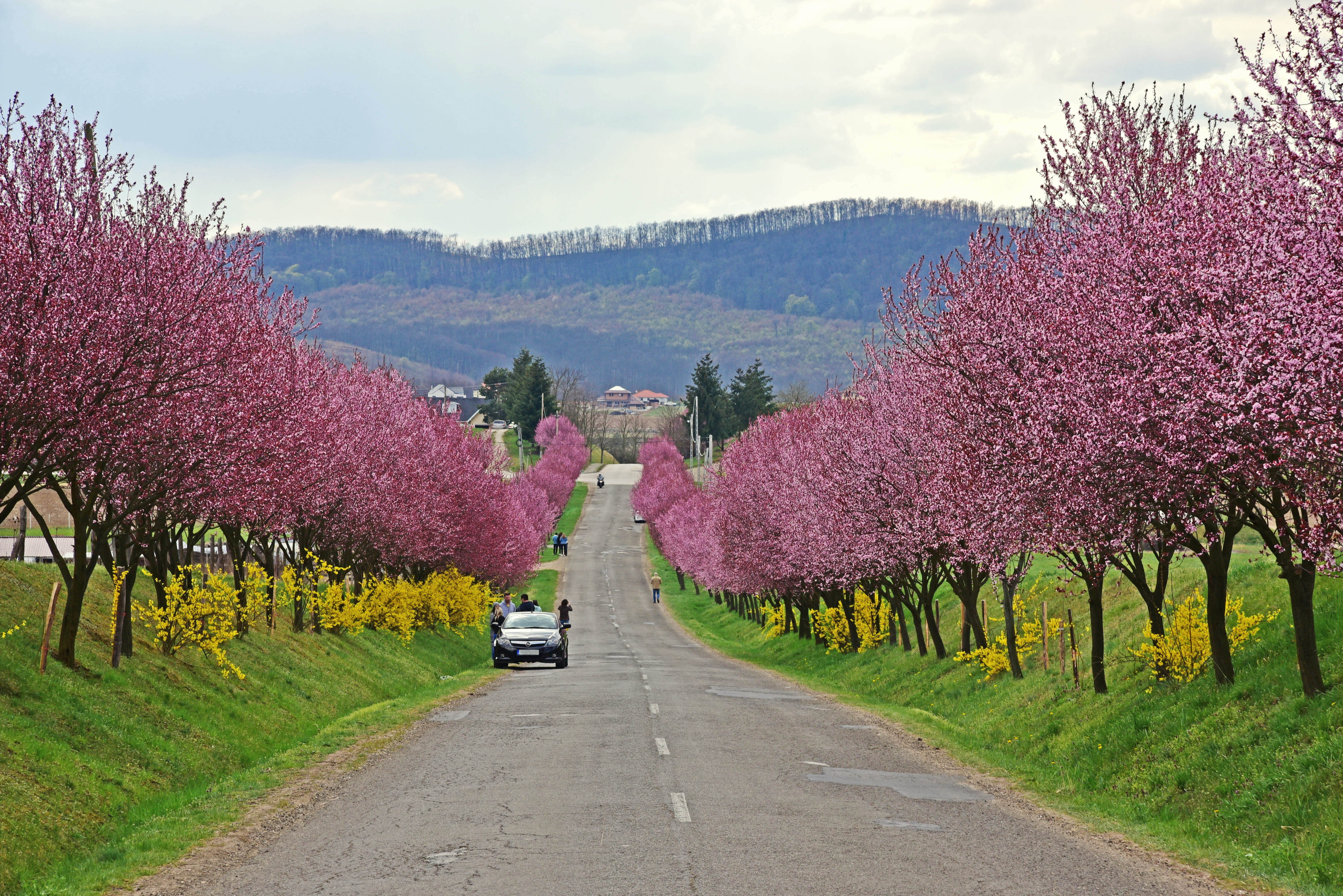 Visszavásárolná Kárpátalját az aranyat bányászó börzsönyi vállalkozó