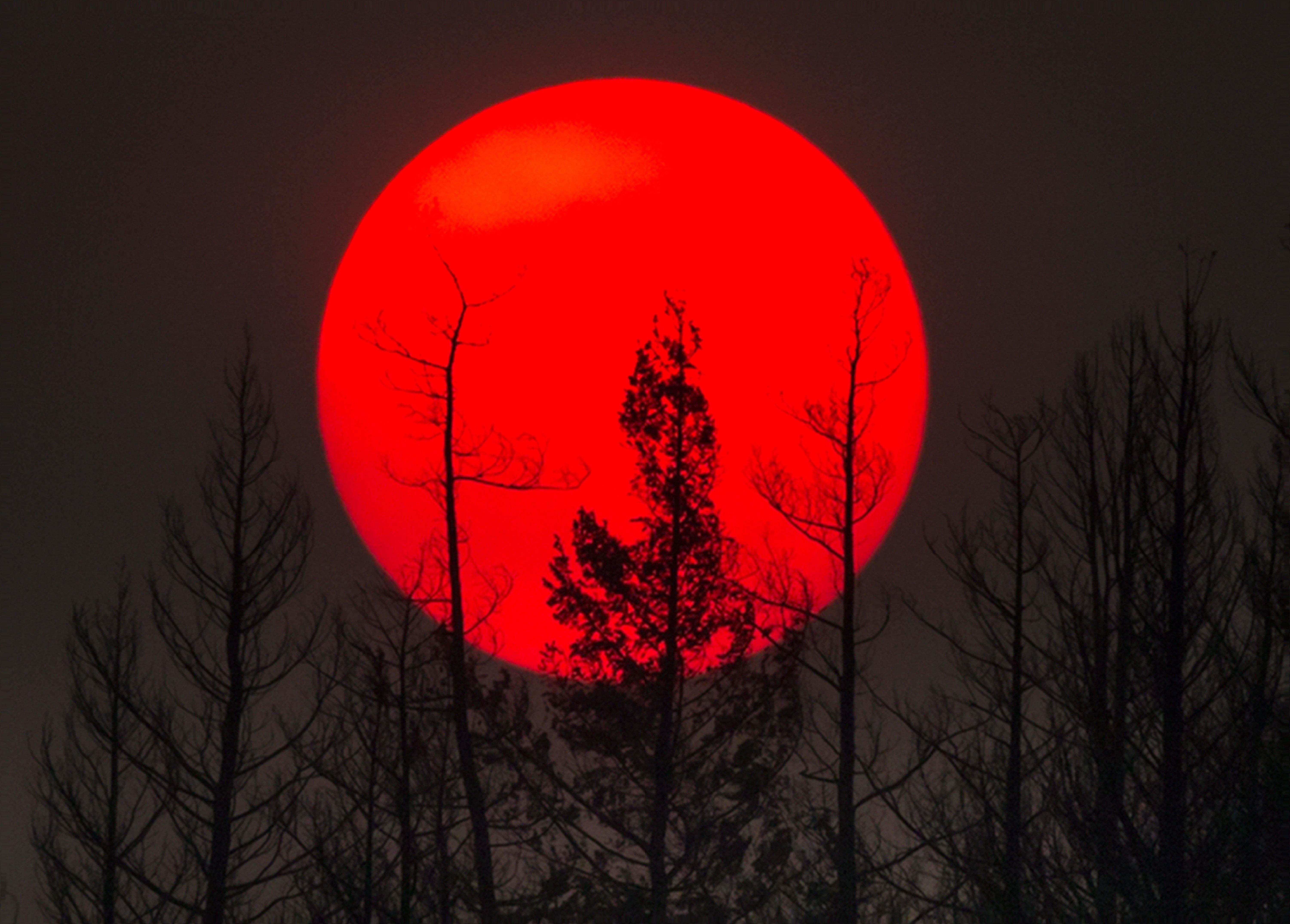 Canada Wildfires 2017: British Columbia