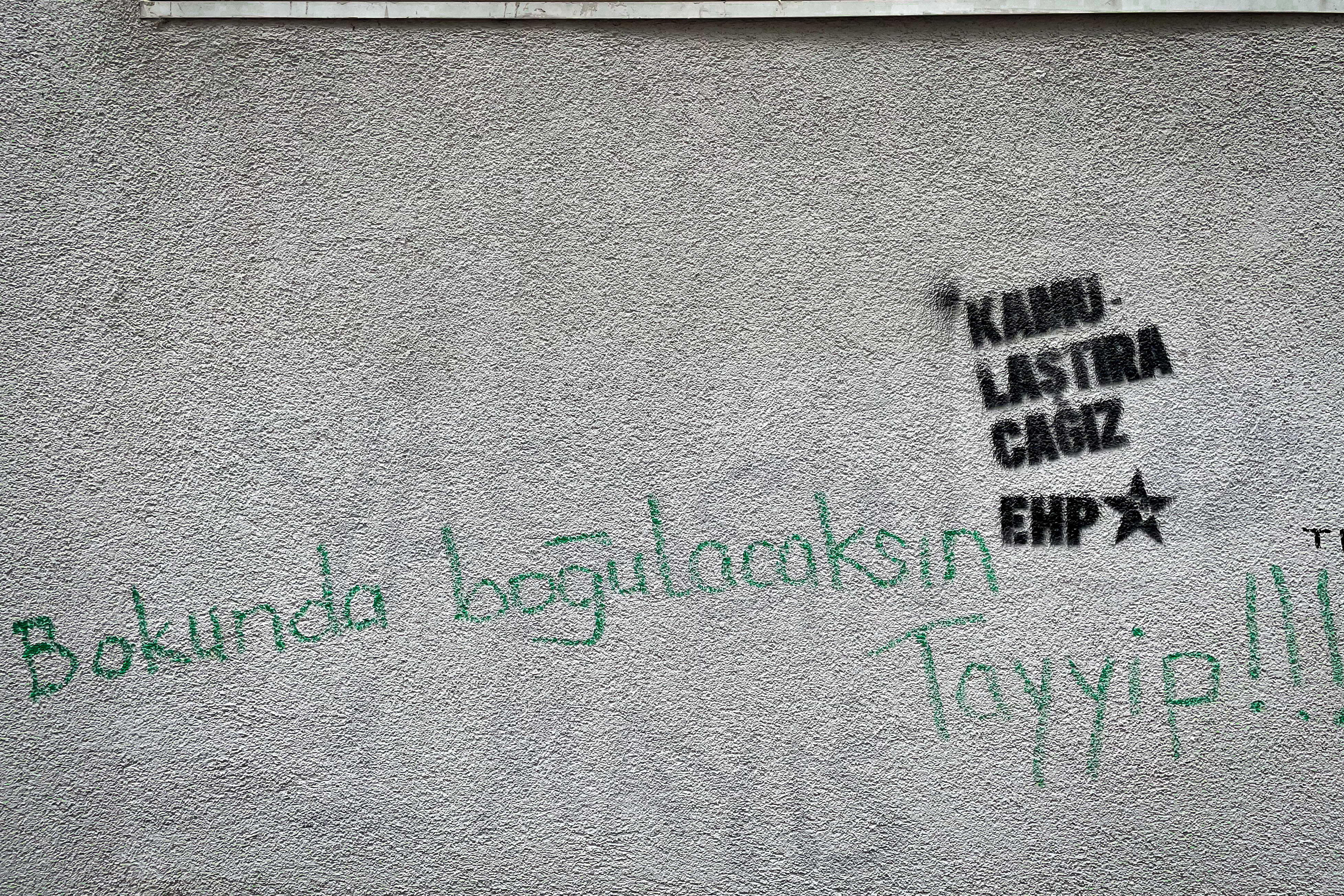 ”Utopisz się we własnym g***, Tayip!”. Napis ma murze kamienicy w Kadıköy