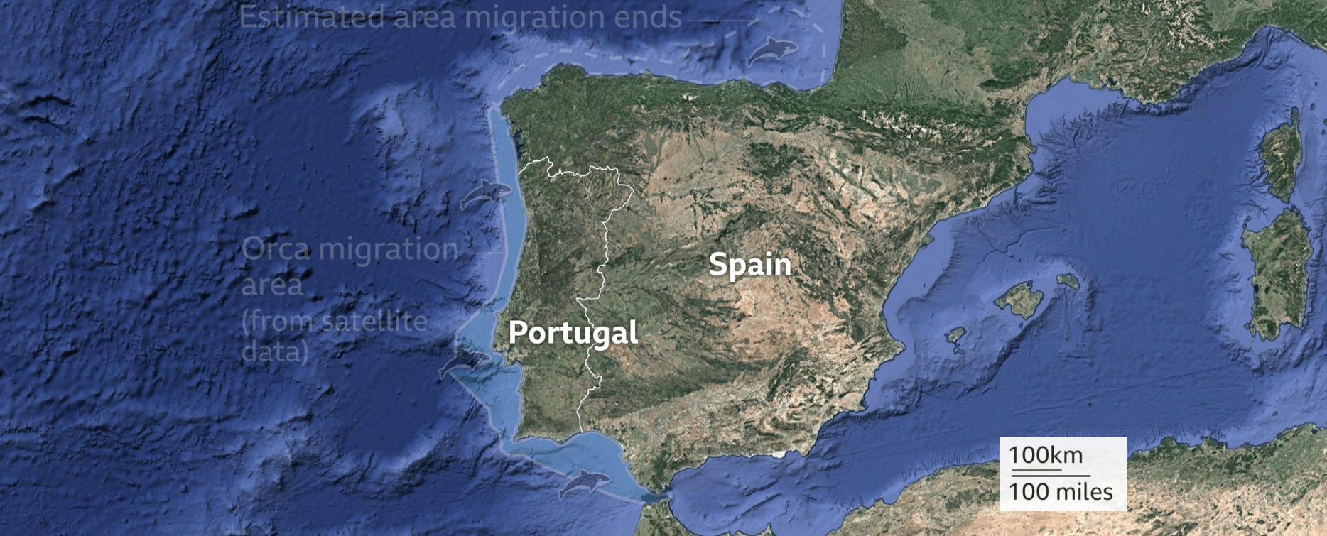 Obszar migracji orek u wybrzeży Hiszpanii i Portugalii. Źródło: BBC News.