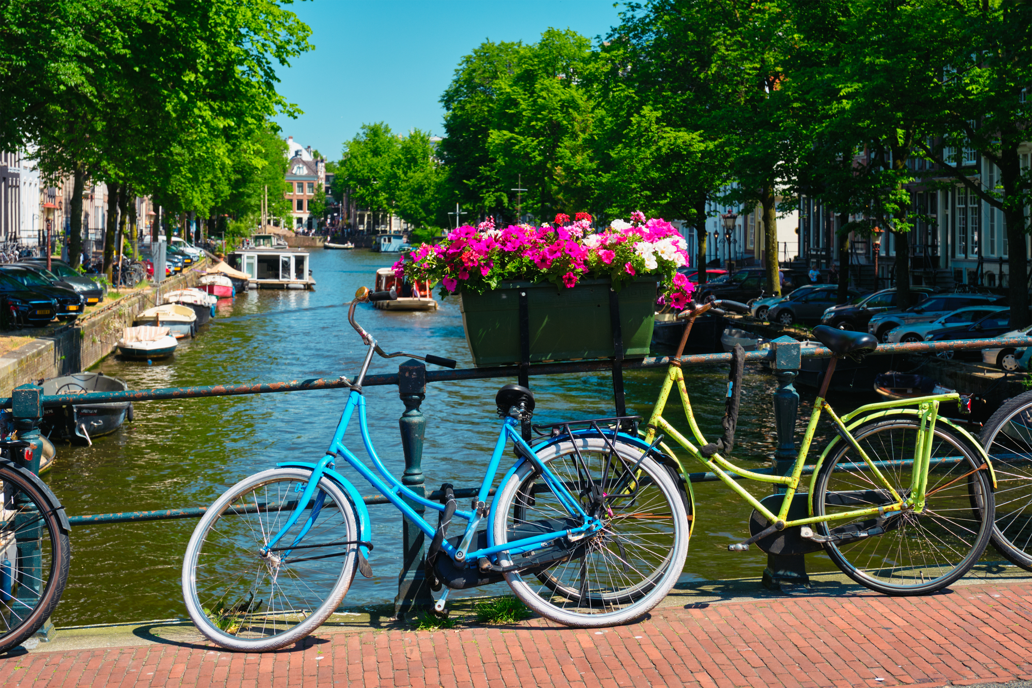 Virágládákkal védenék az amszterdami hidakat a biciklik elől - Blikk