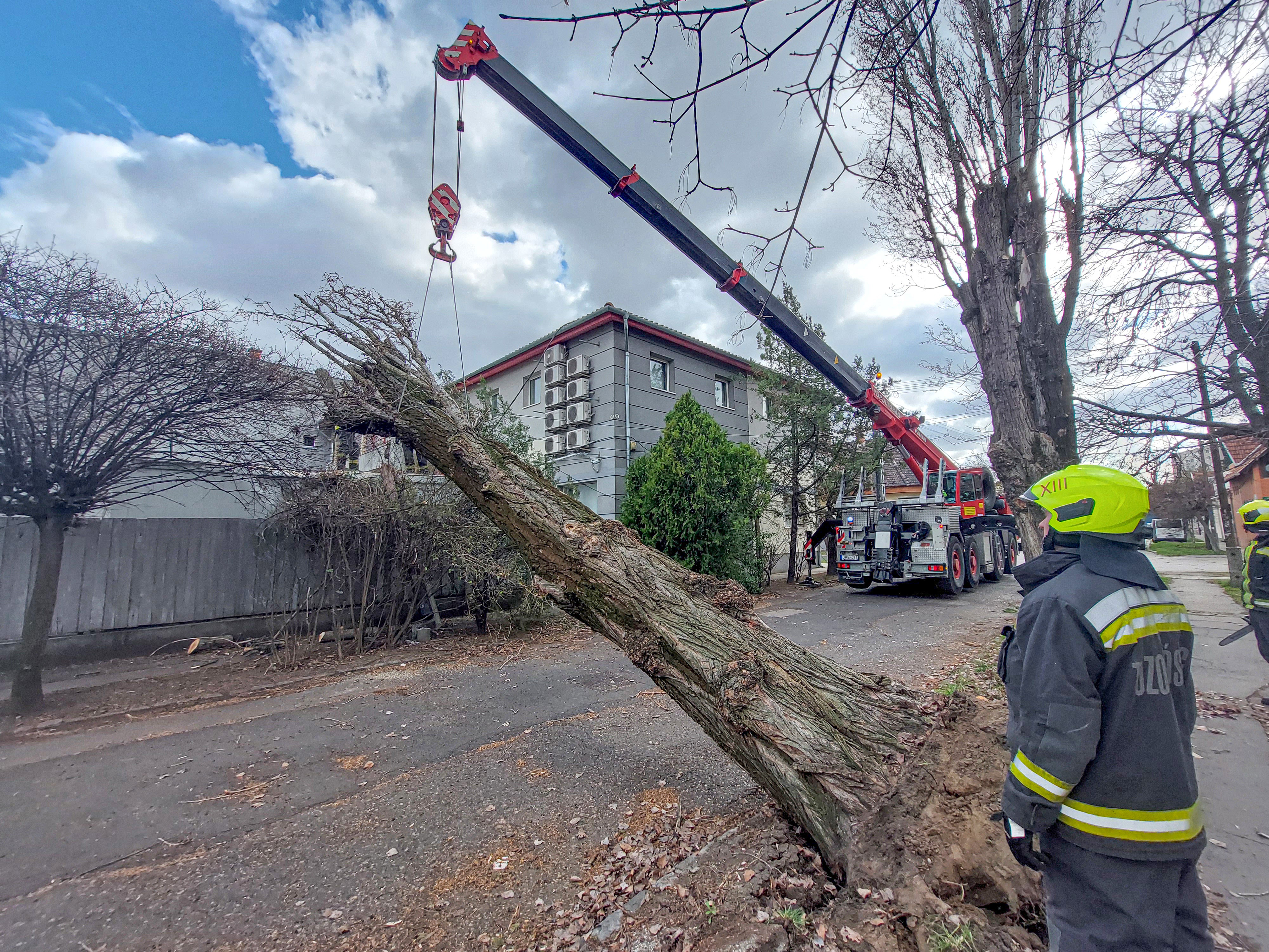 Hatalmas pusztítást végzett a szélvihar Budapesten, megdőlt a szélrekord is - fotók
